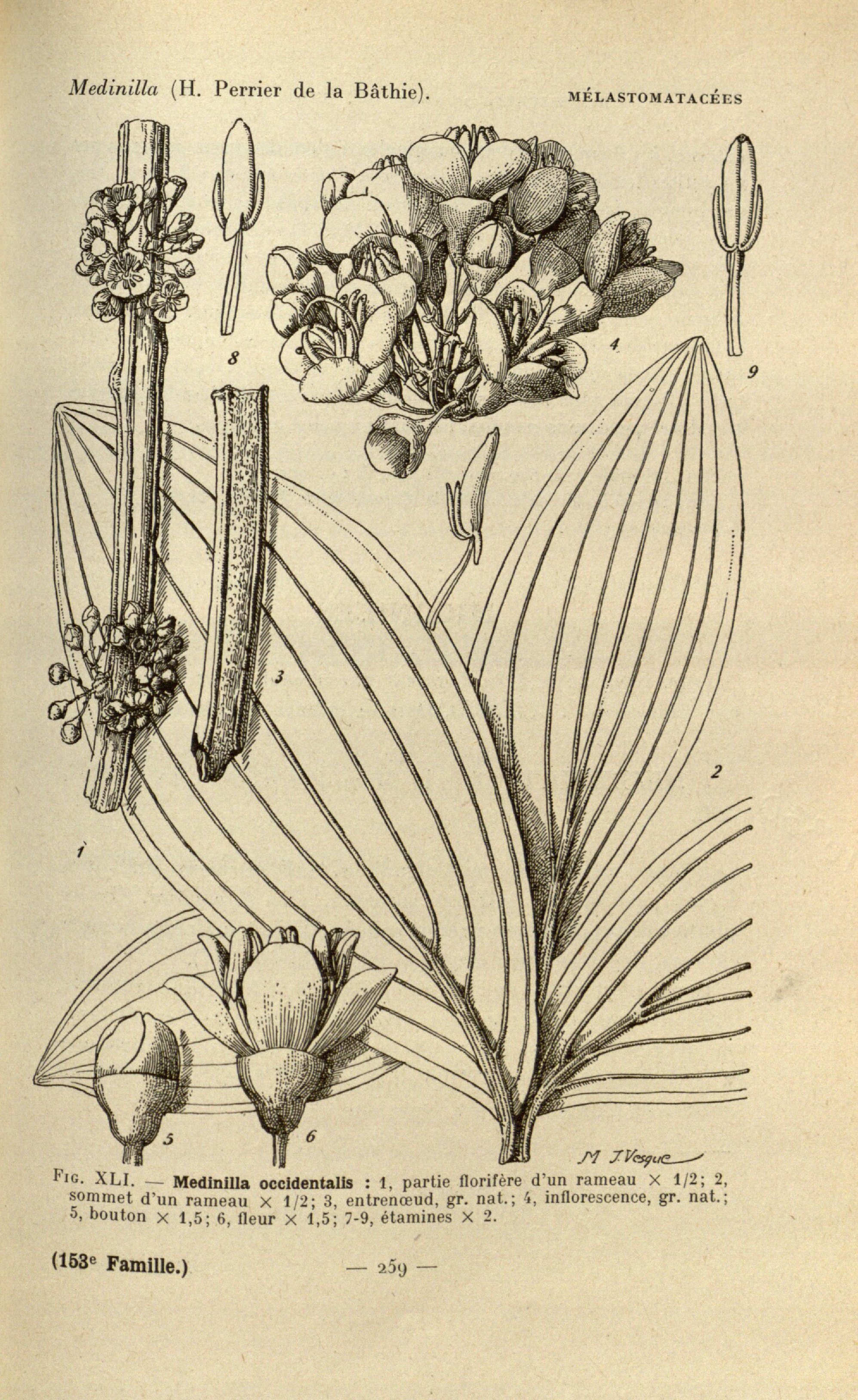 no full size  illustration available (3a)