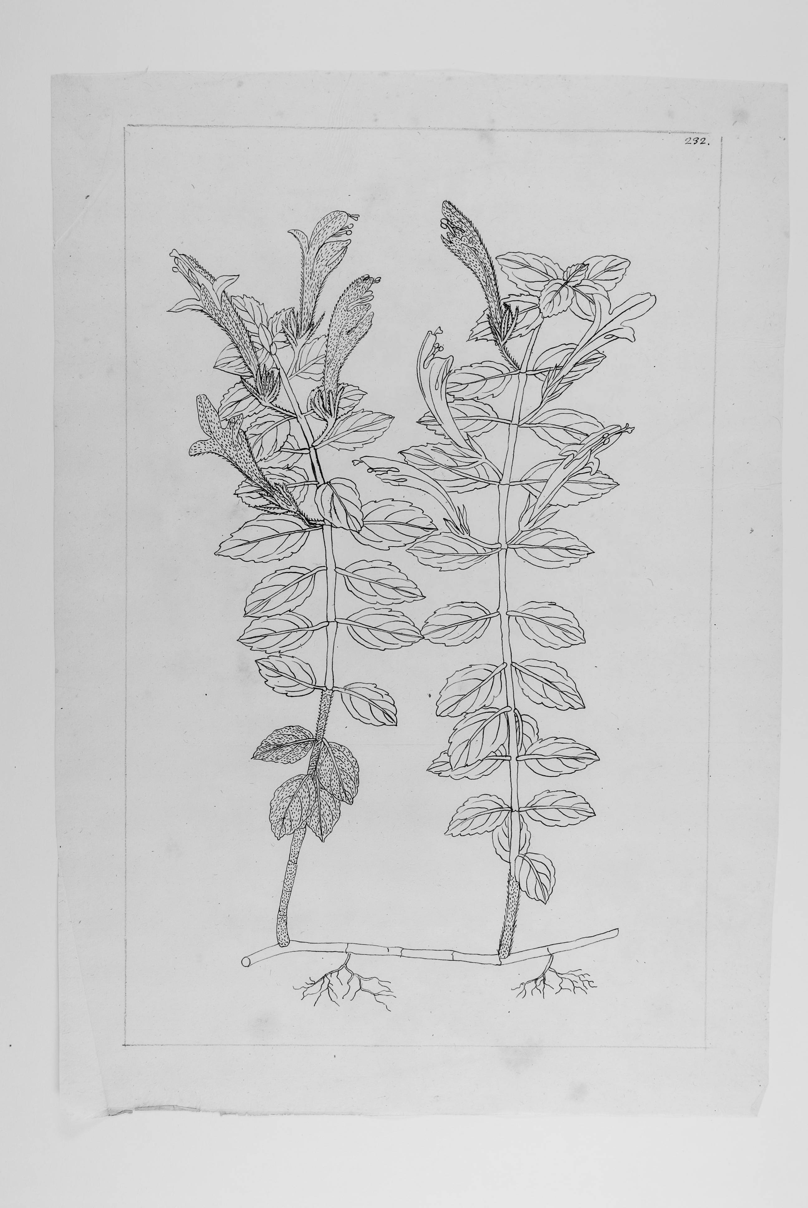 no full size  illustration available (3a)