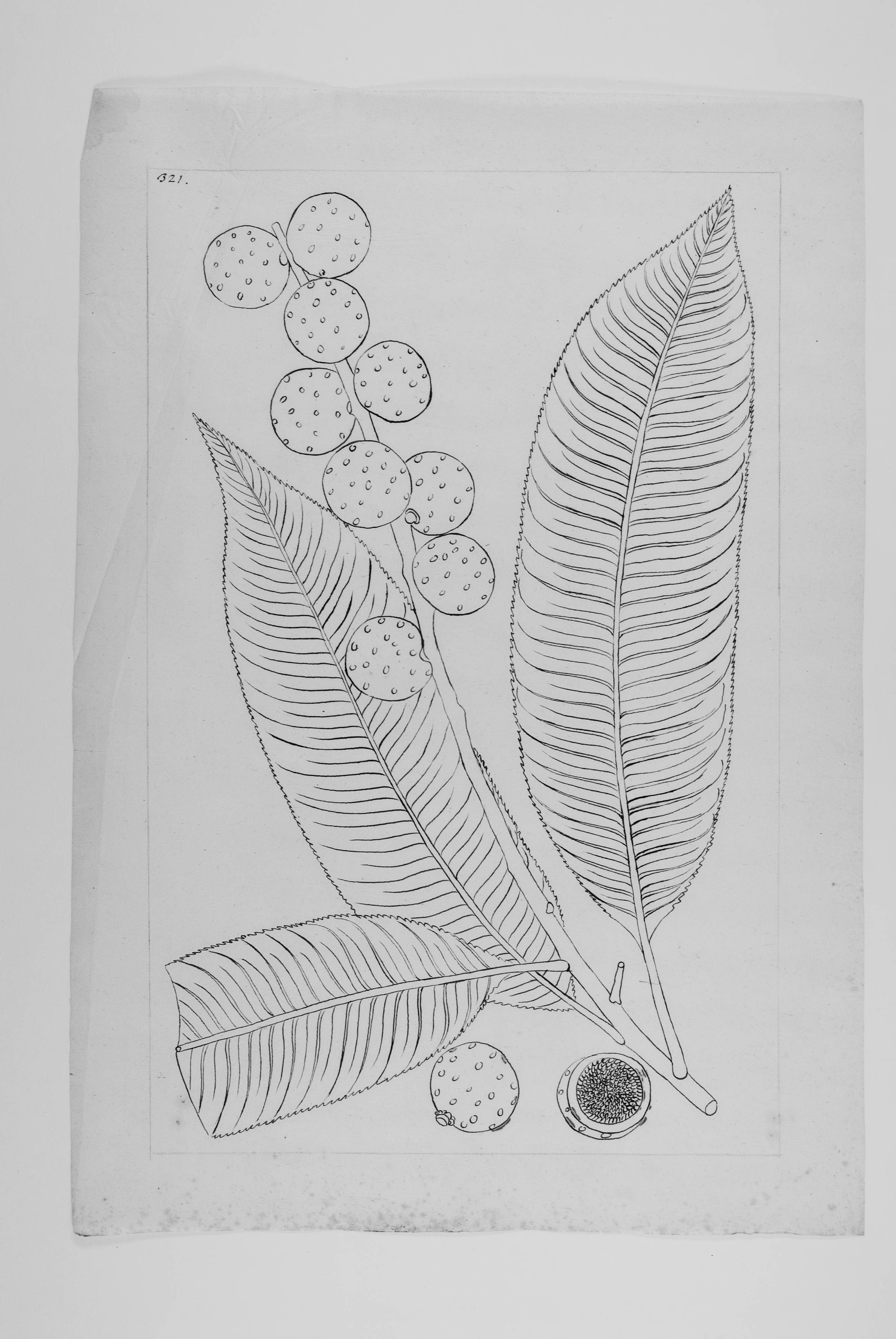 no full size  illustration available (3a)