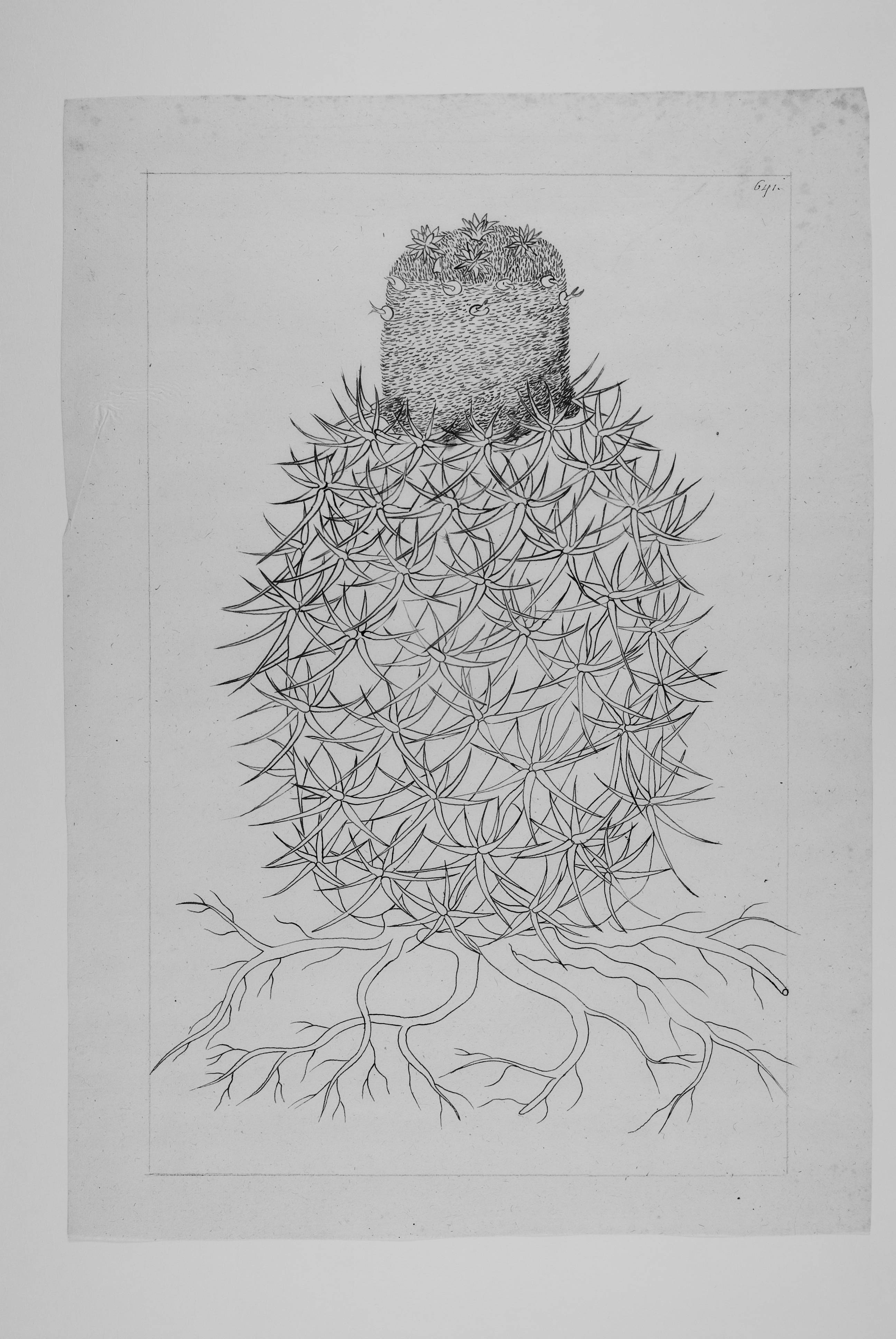 no full size  illustration available (3a)