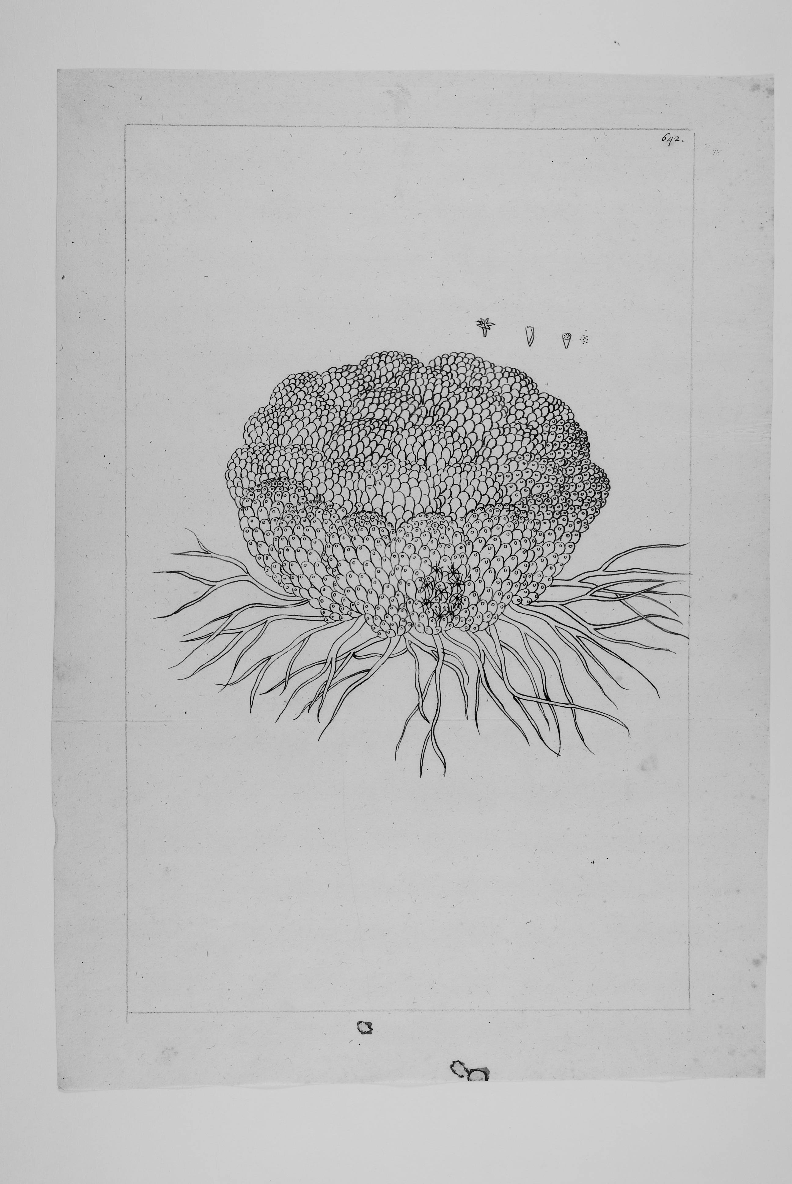 no full size  illustration available (3a)