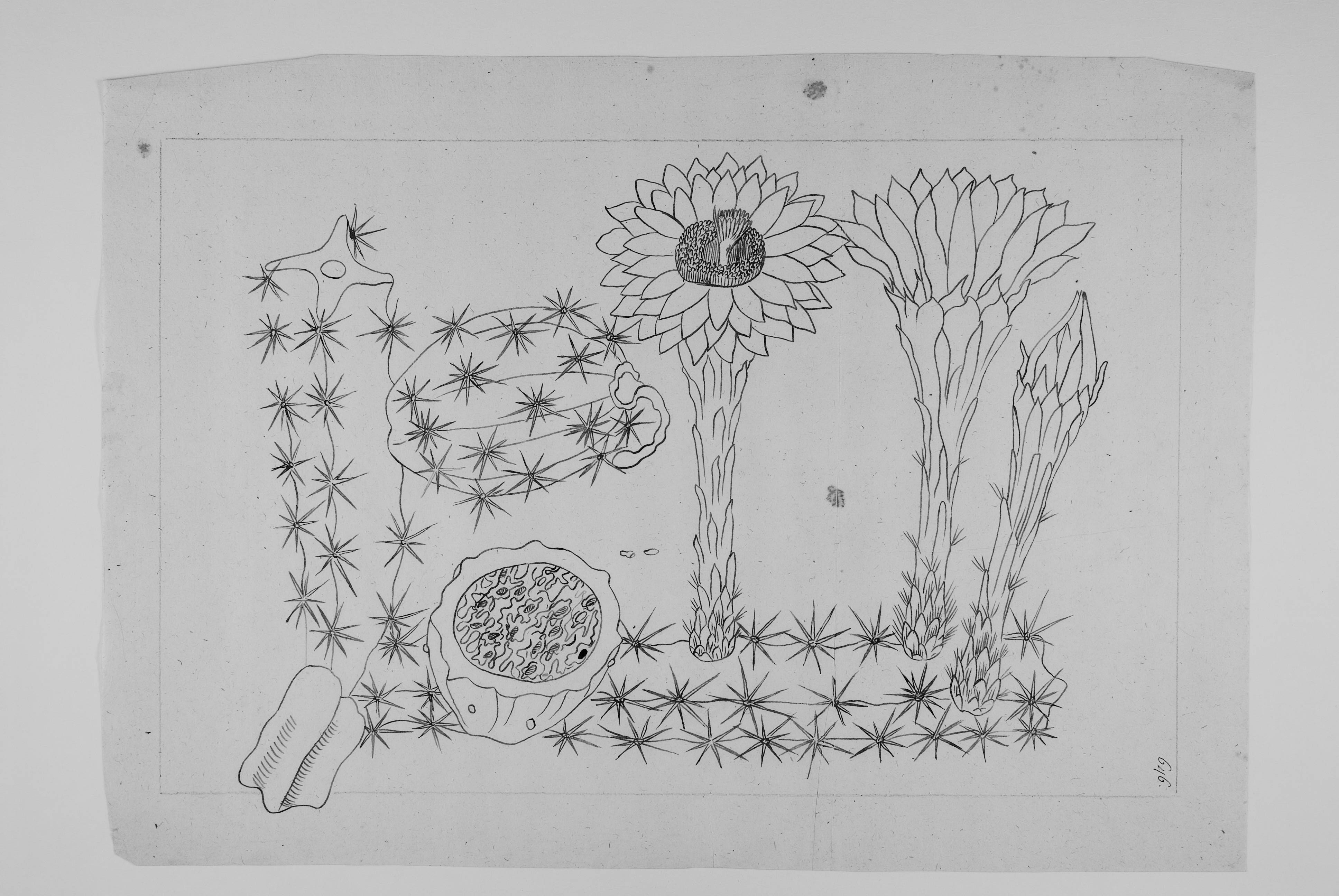 no full size  illustration available (3a)