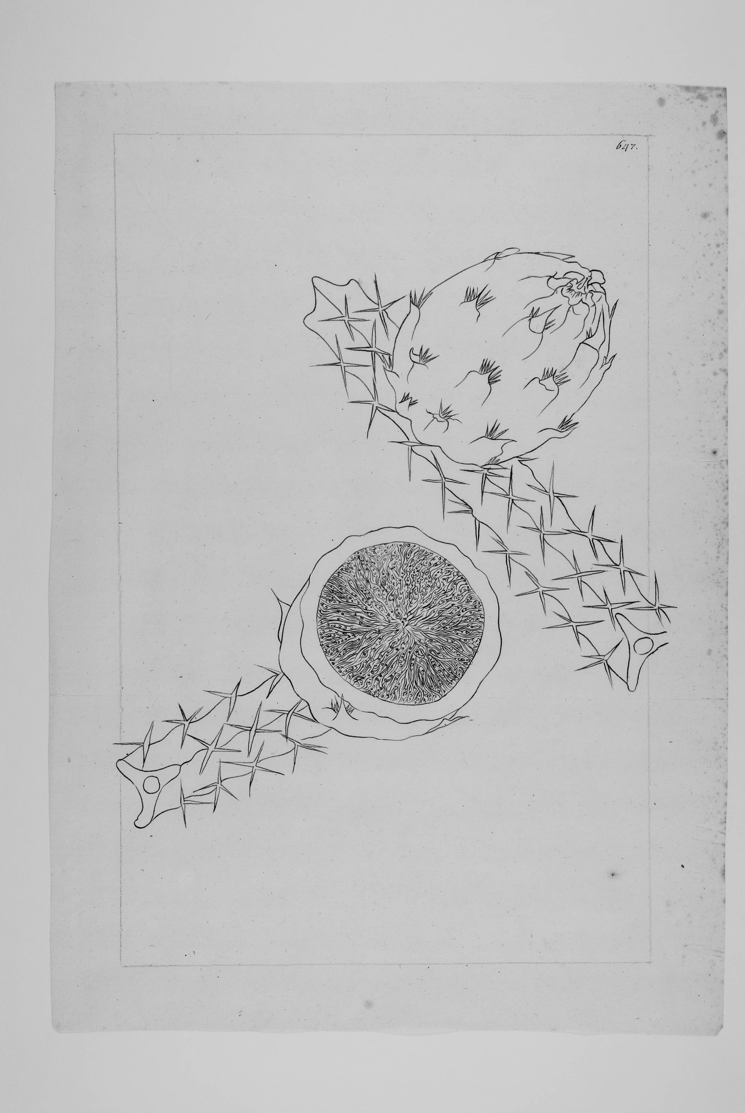 no full size  illustration available (3a)