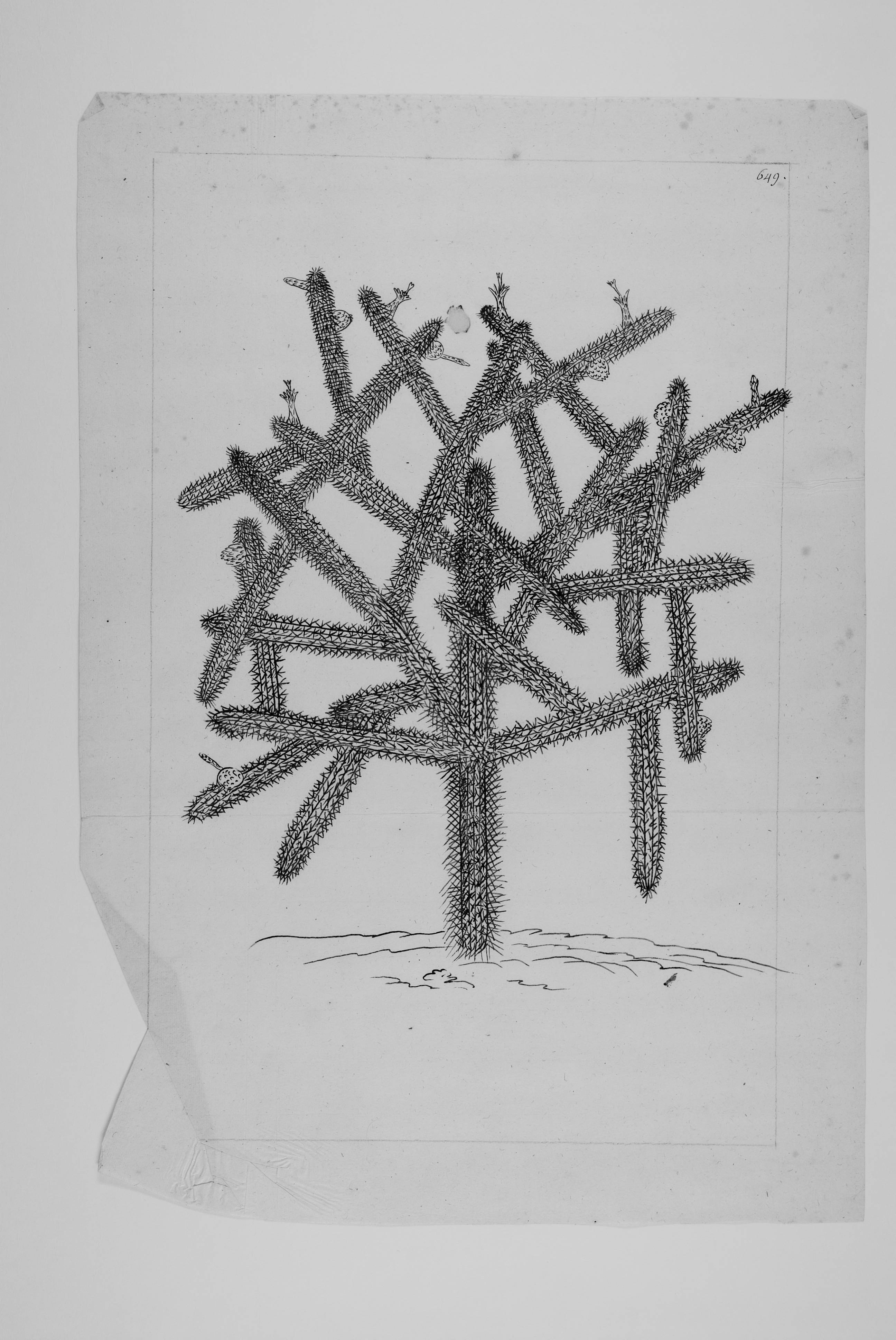 no full size  illustration available (3a)