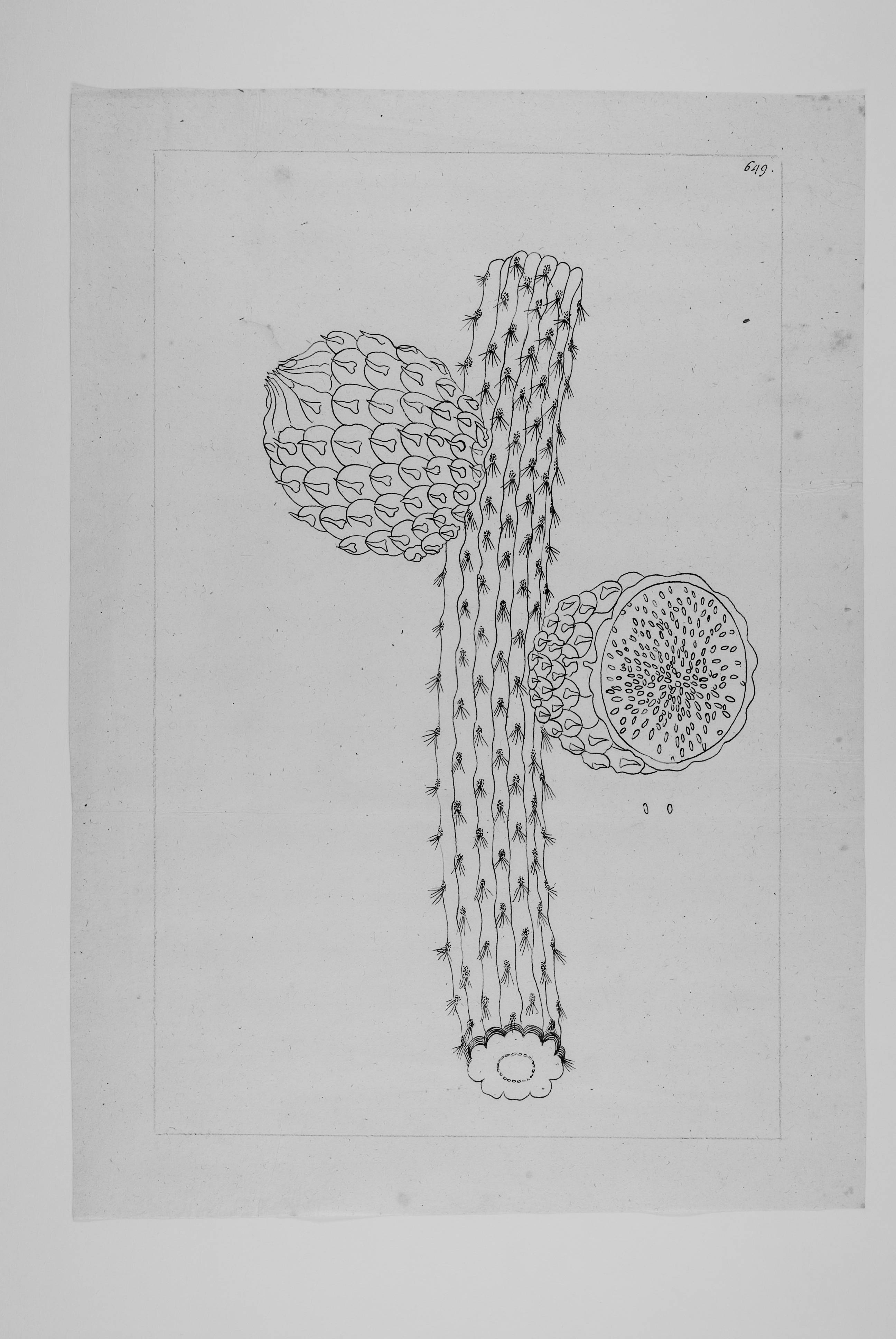 no full size  illustration available (3a)