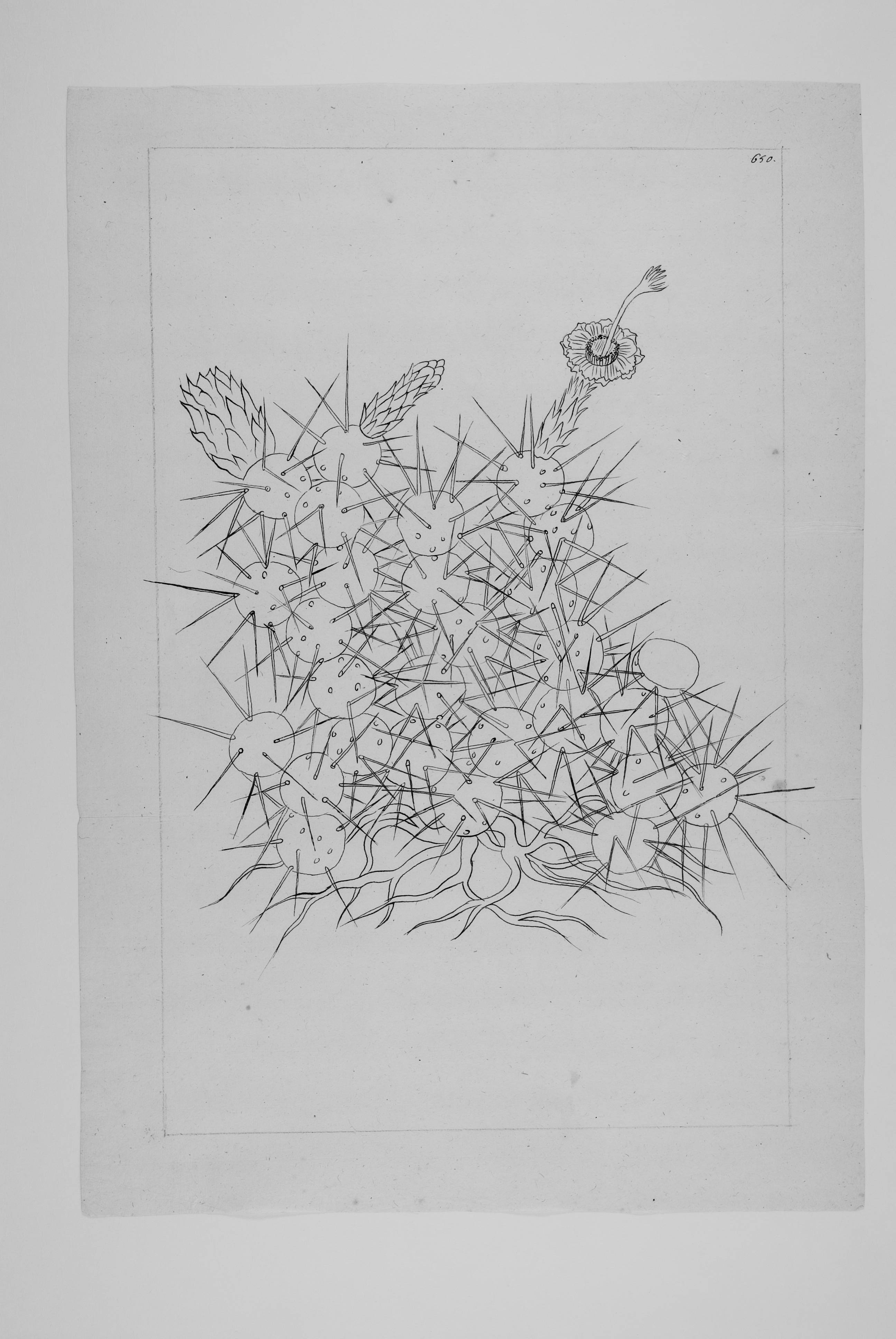 no full size  illustration available (3a)