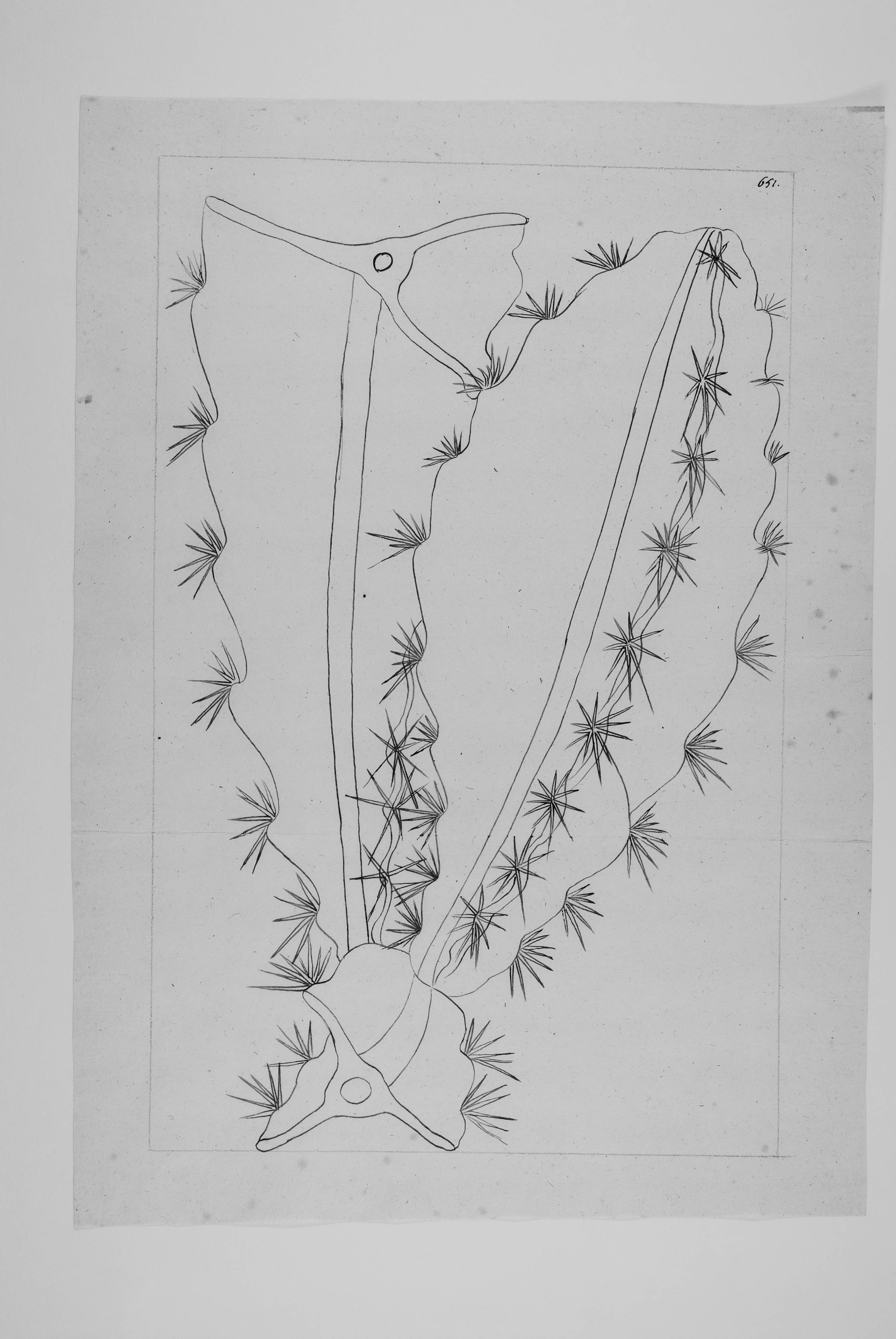 no full size  illustration available (3a)