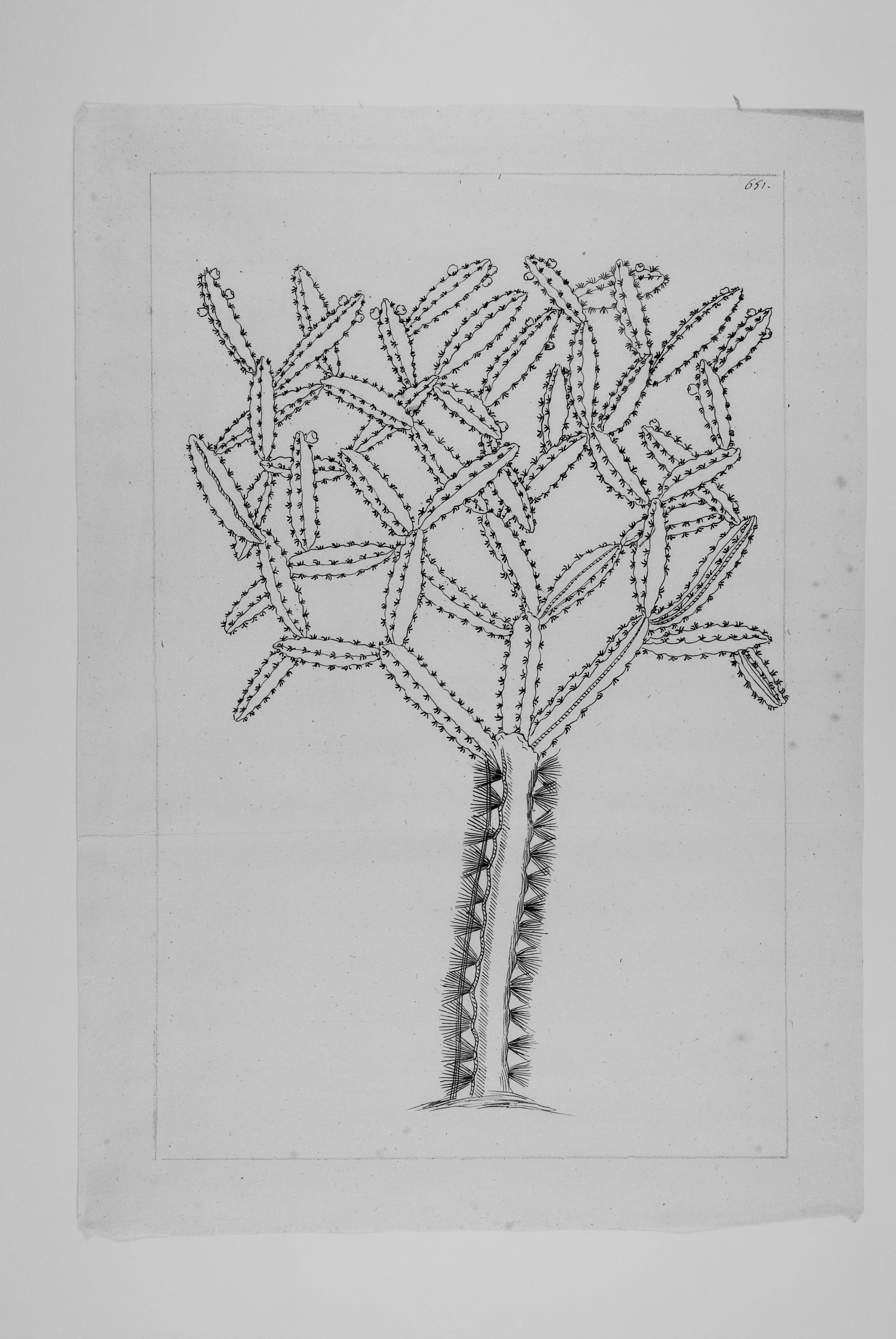 no full size  illustration available (3a)