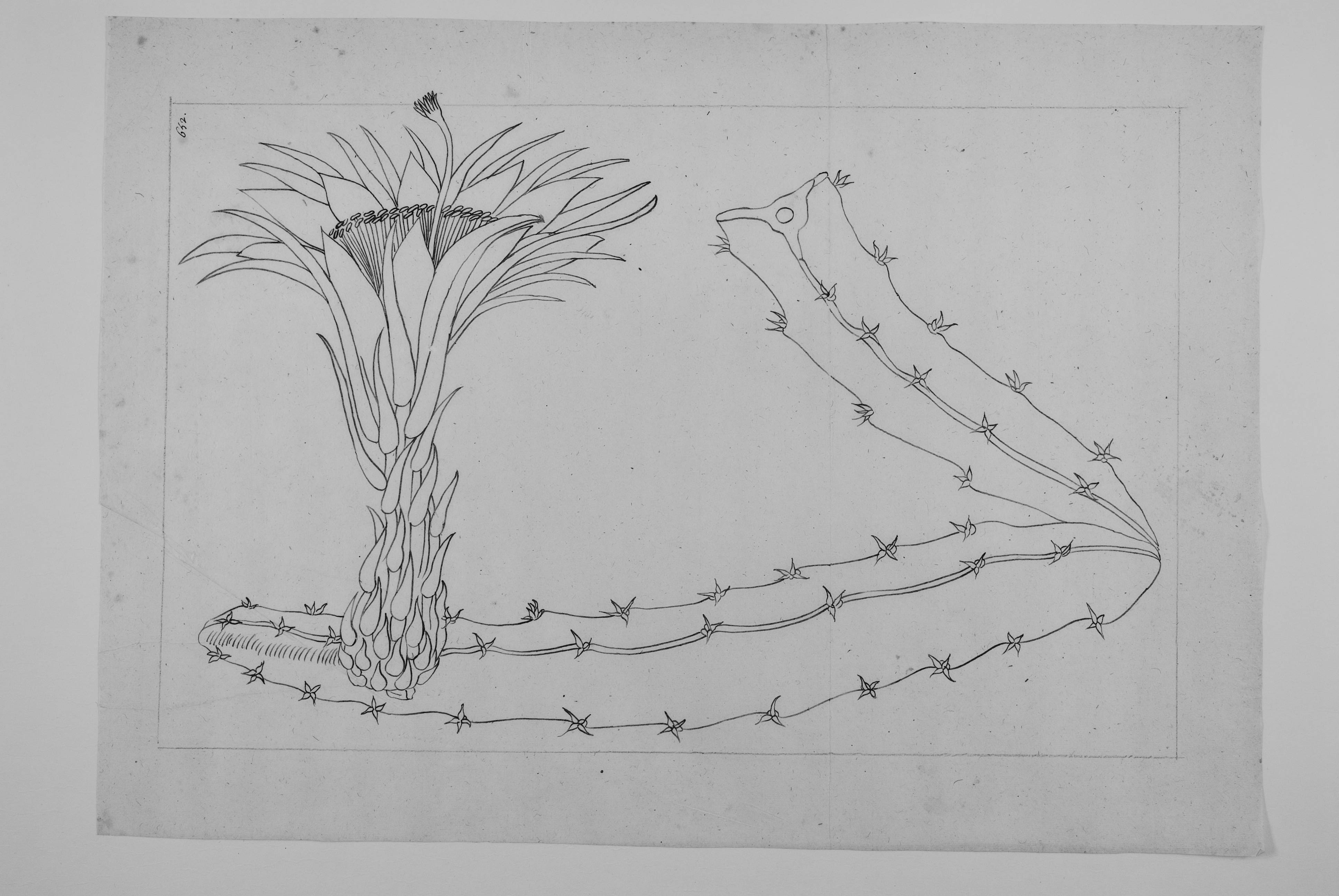 no full size  illustration available (3a)