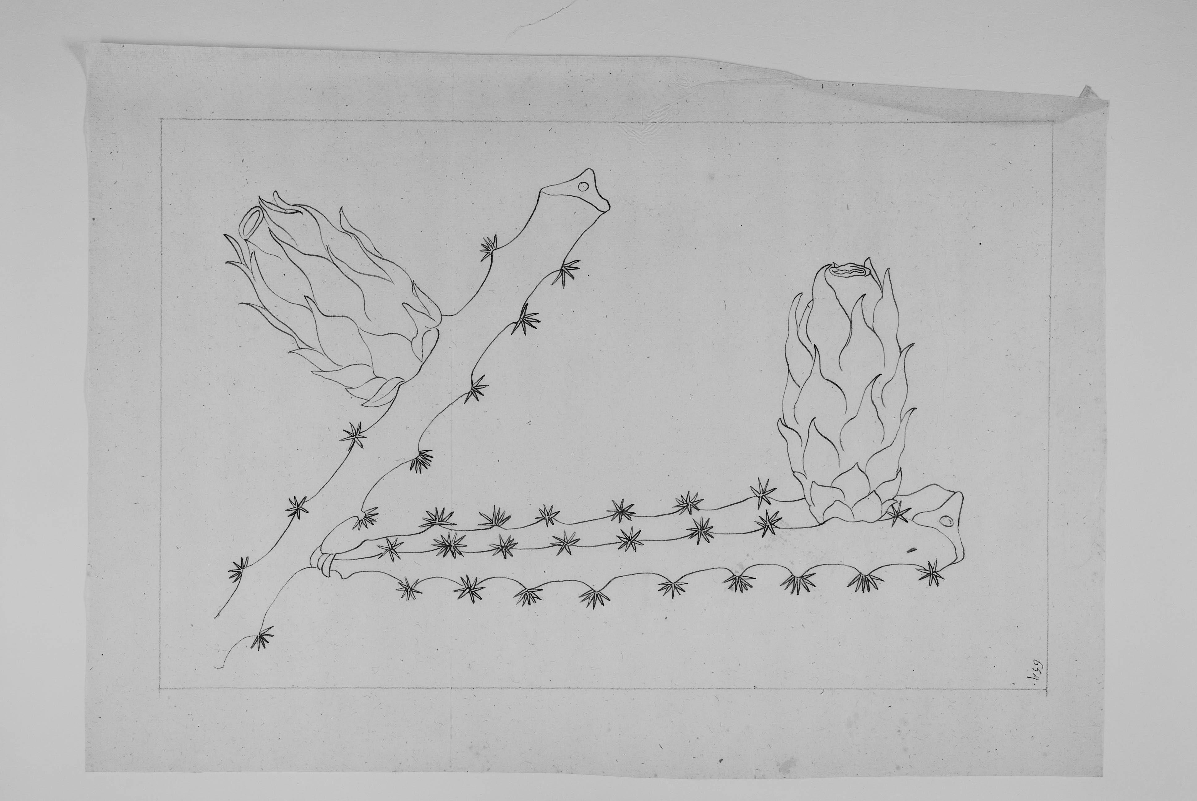 no full size  illustration available (3a)