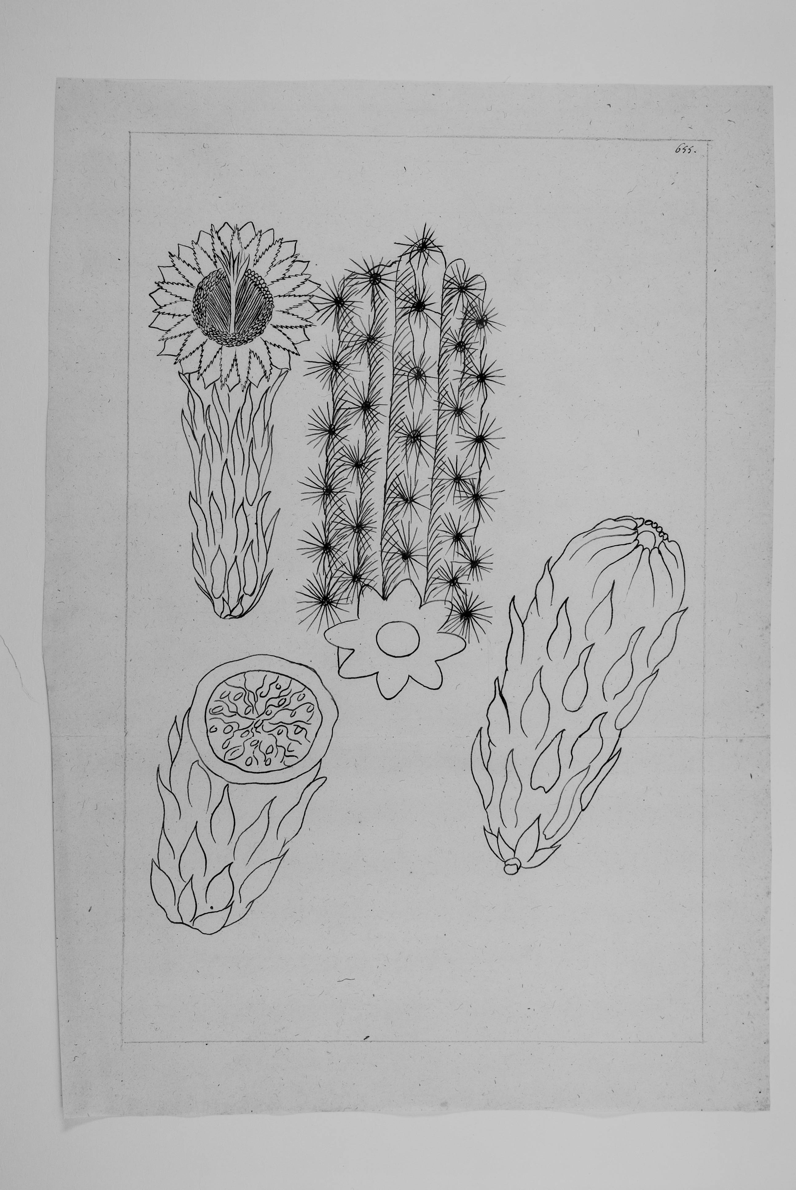 no full size  illustration available (3a)