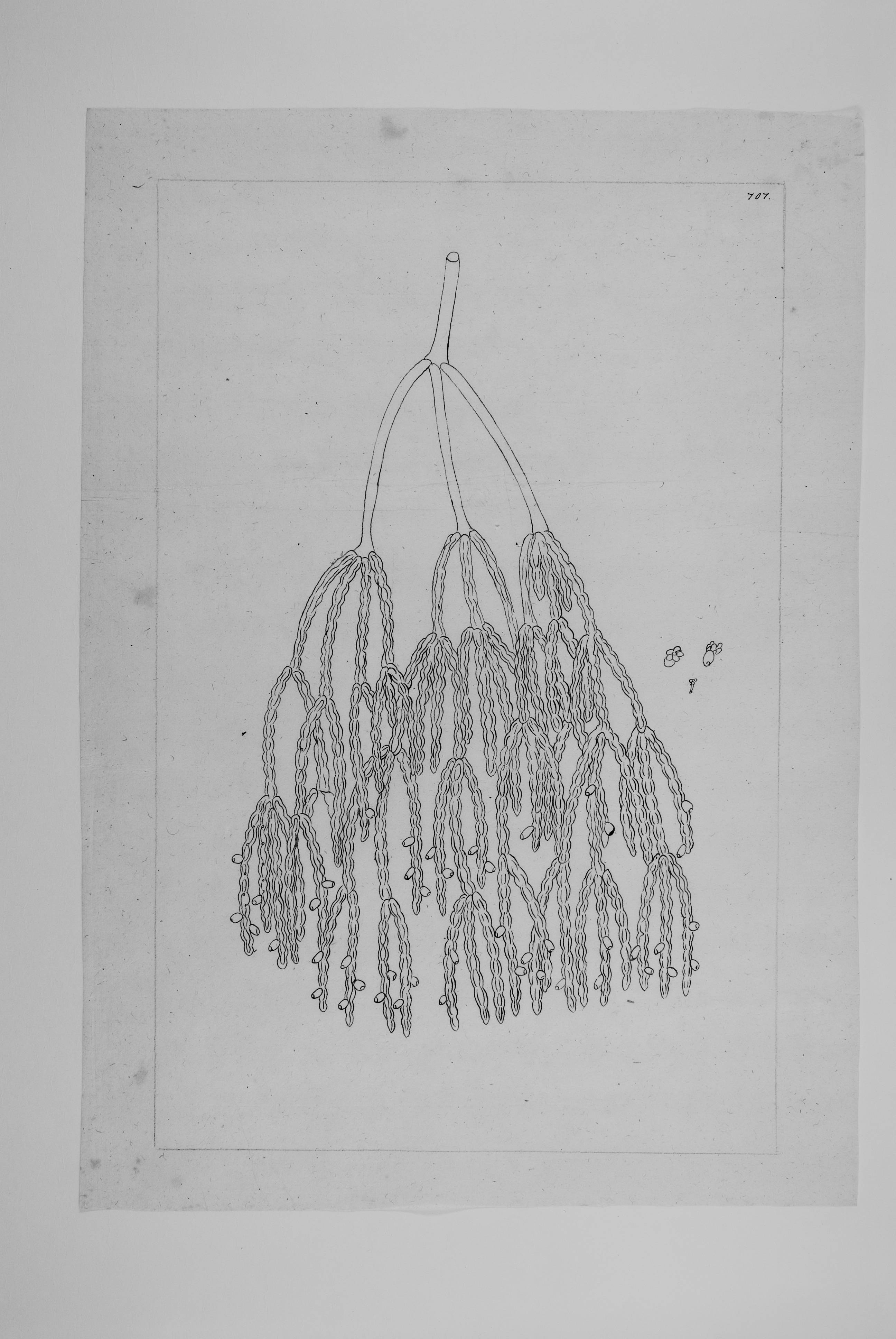 no full size  illustration available (3a)