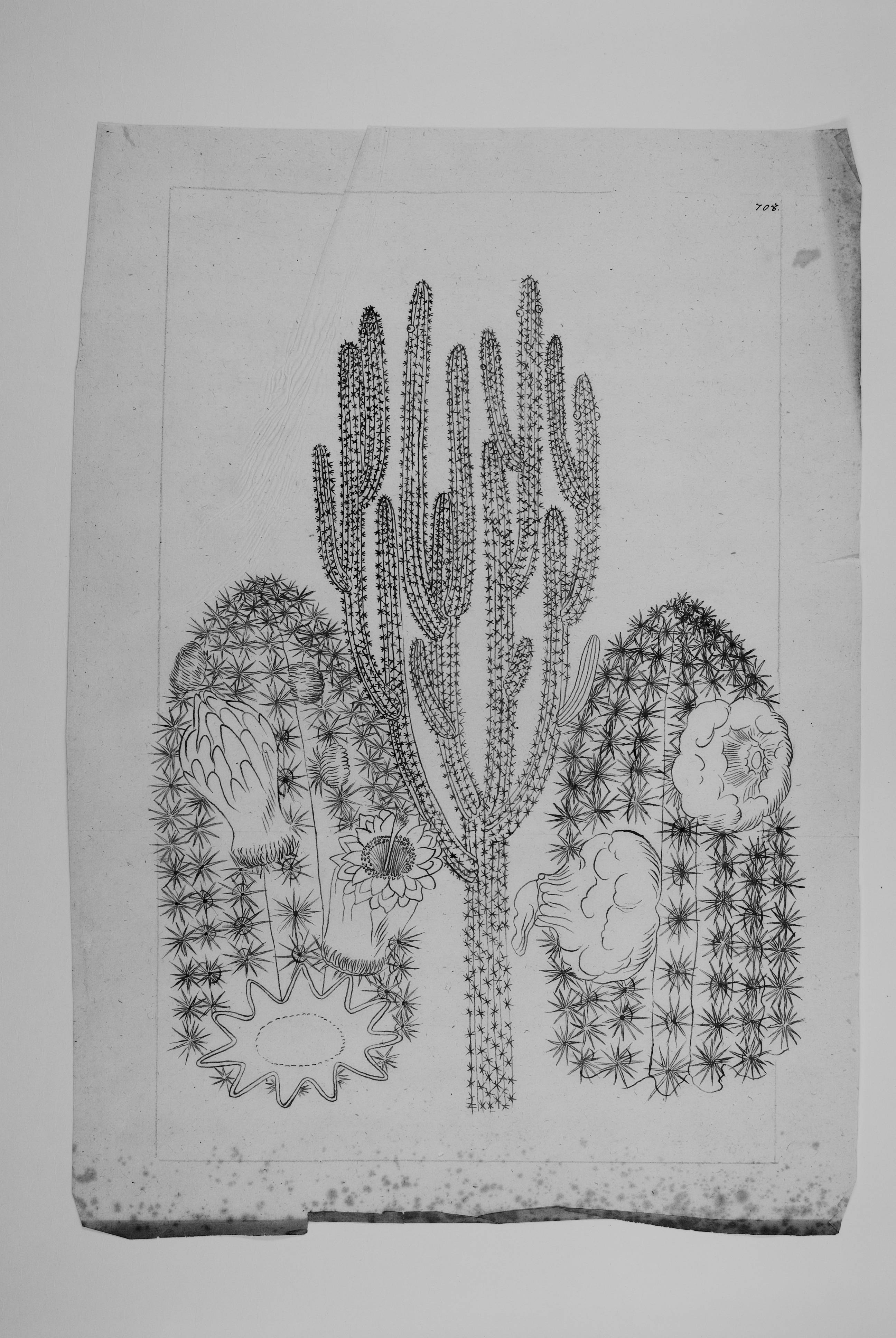 no full size  illustration available (3a)