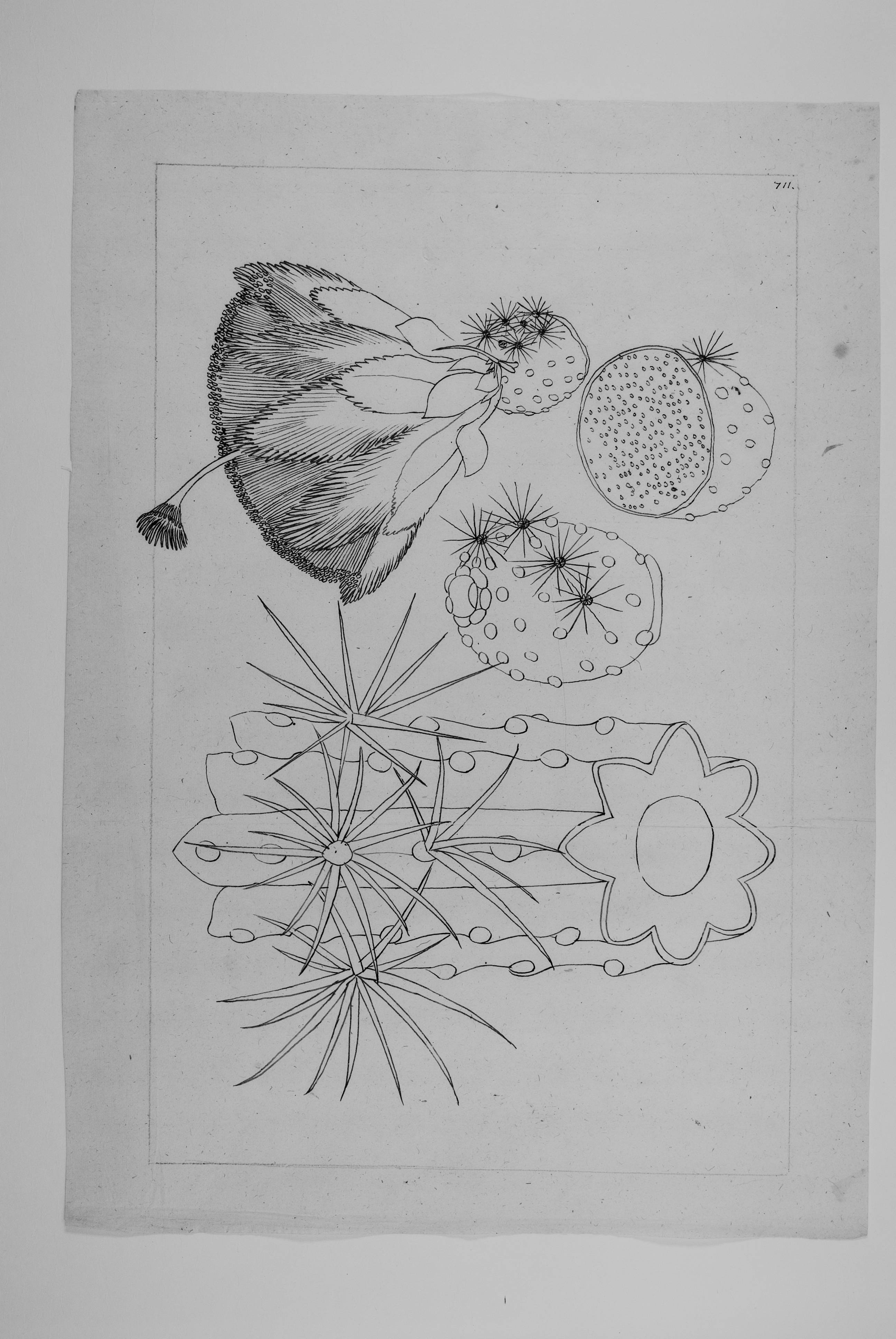 no full size  illustration available (3a)