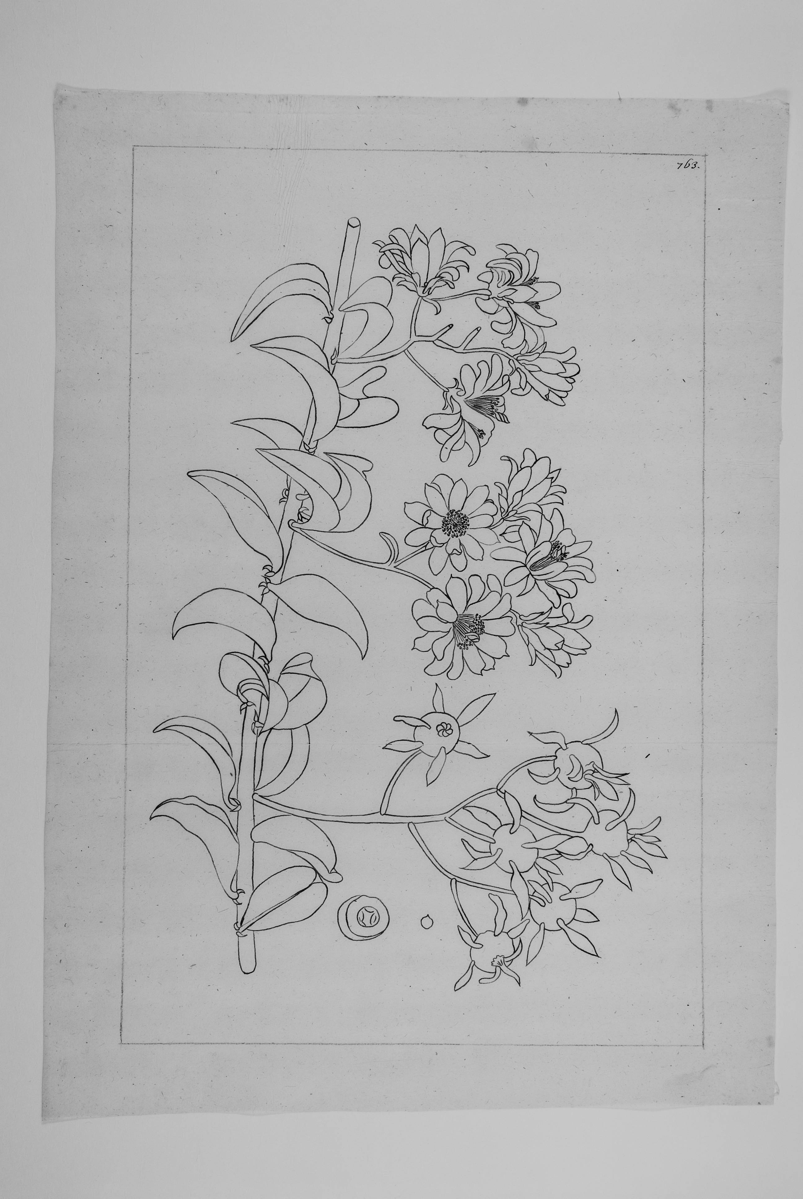 no full size  illustration available (3a)