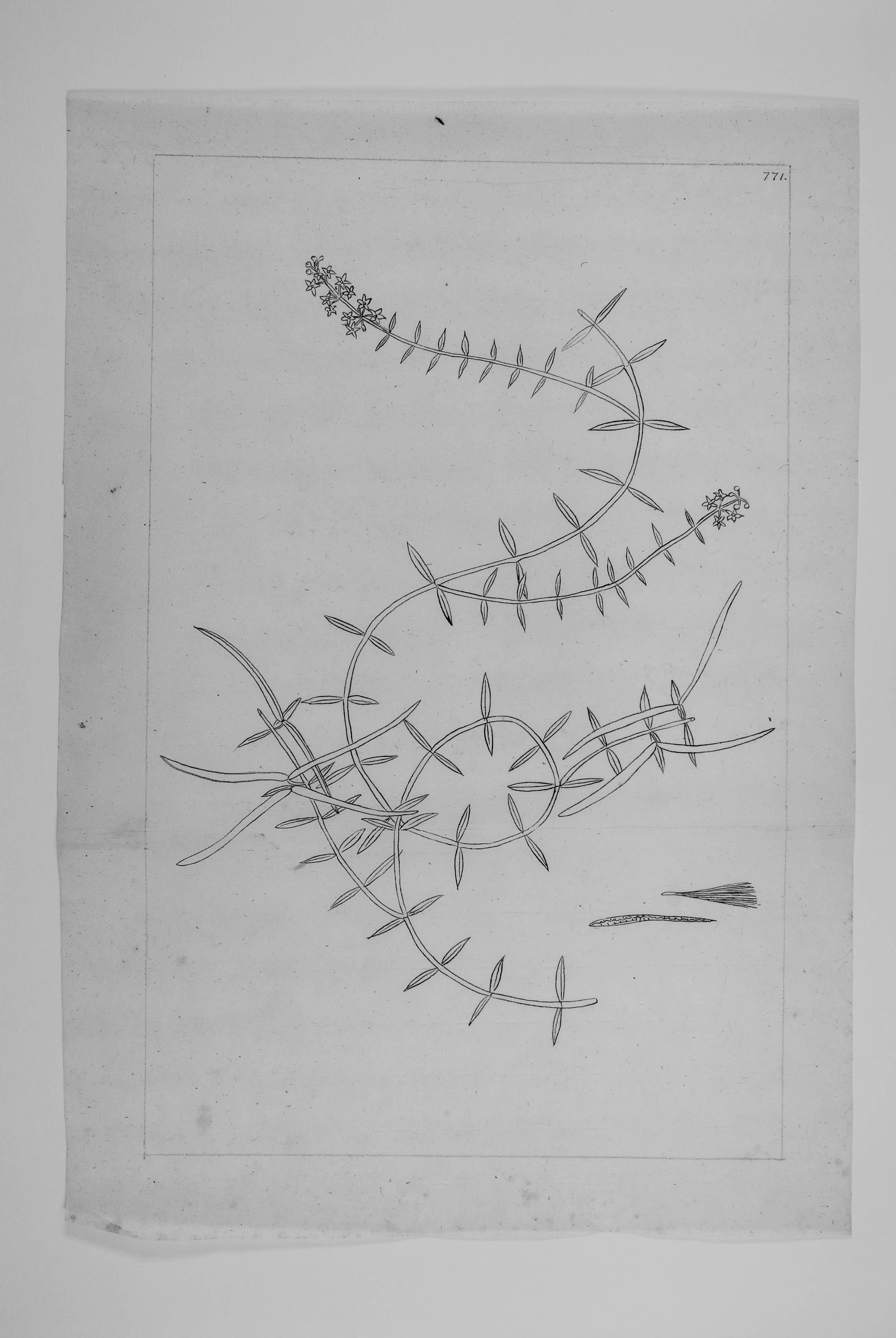 no full size  illustration available (3a)