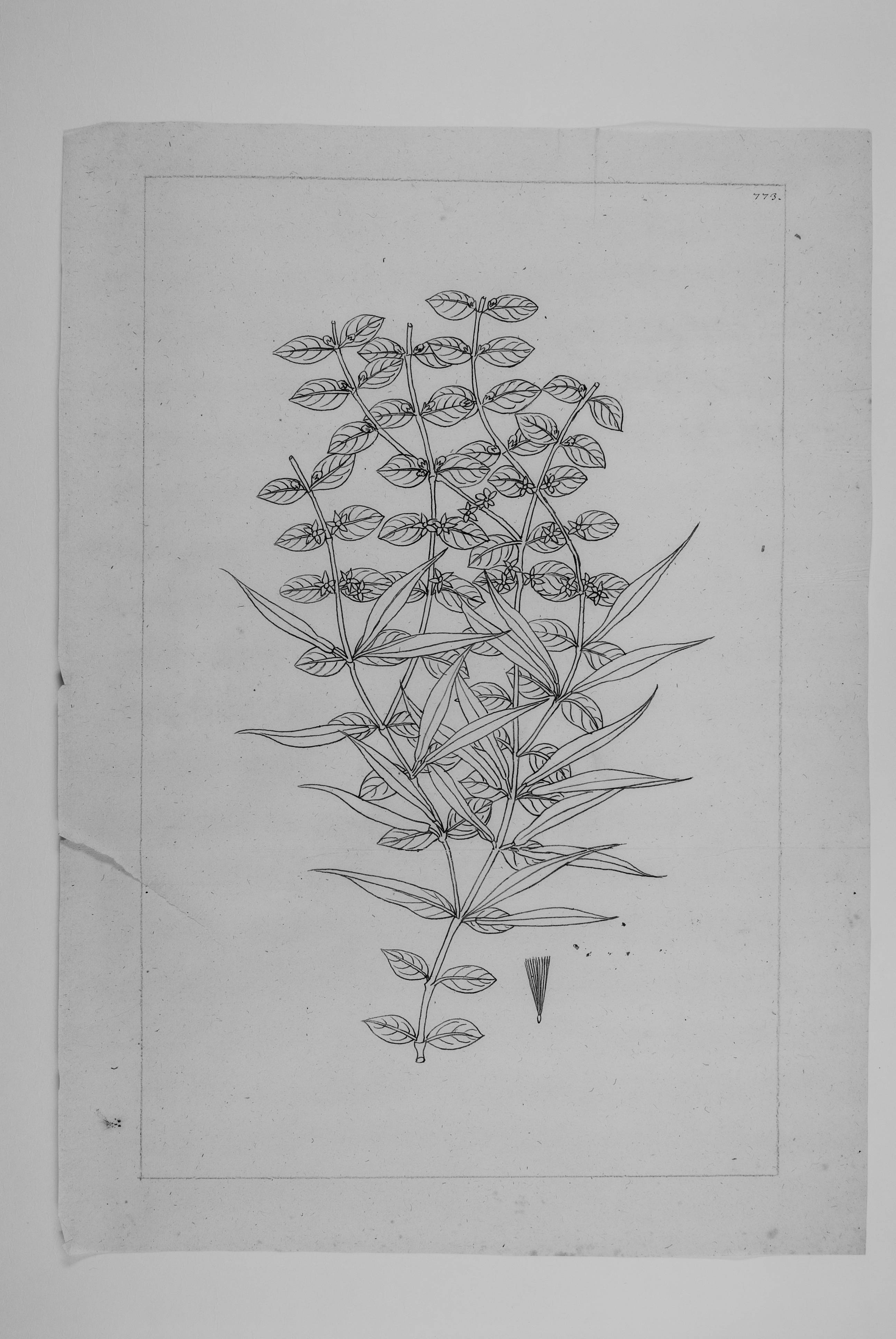 no full size  illustration available (3a)