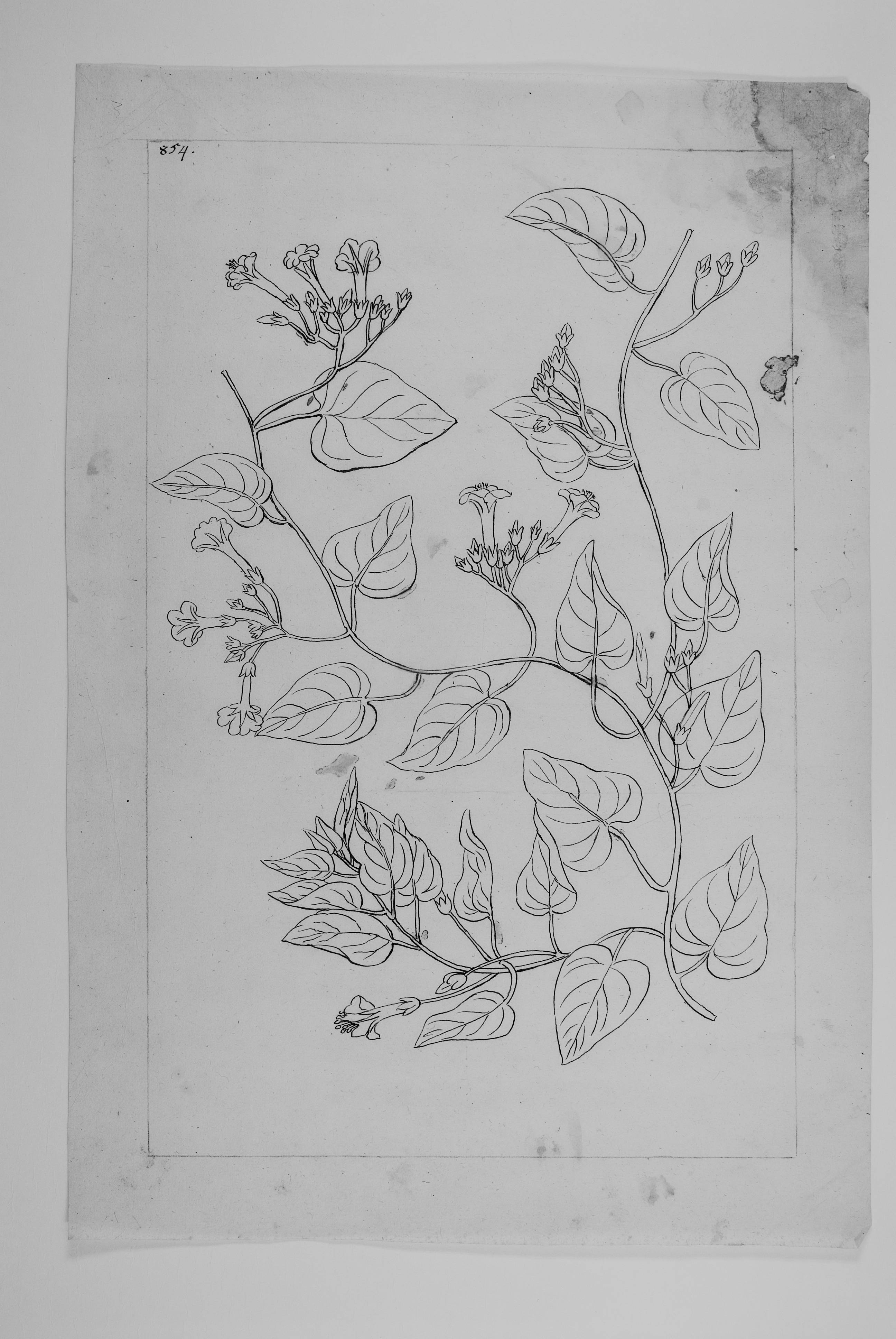 no full size  illustration available (3a)