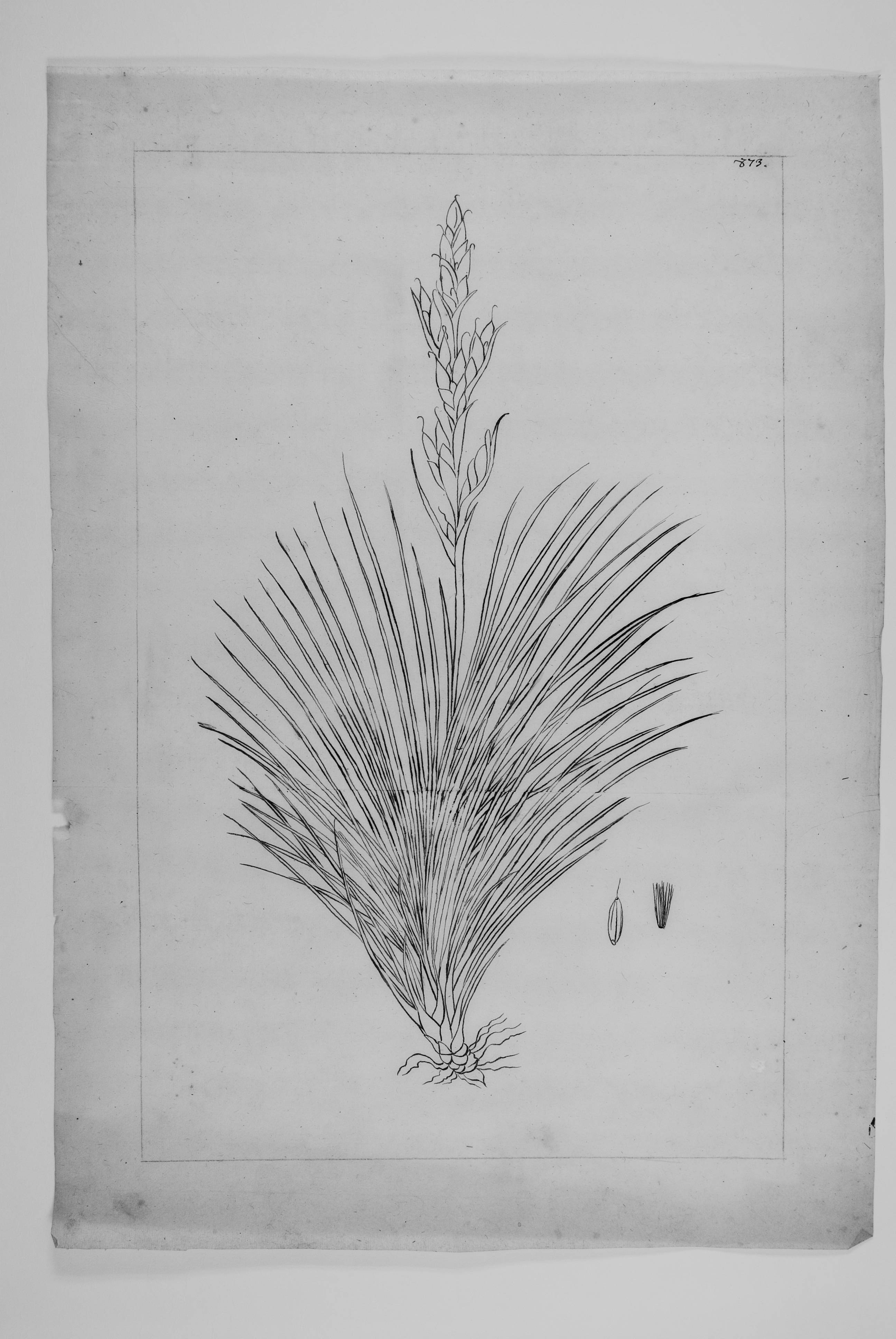 no full size  illustration available (3a)