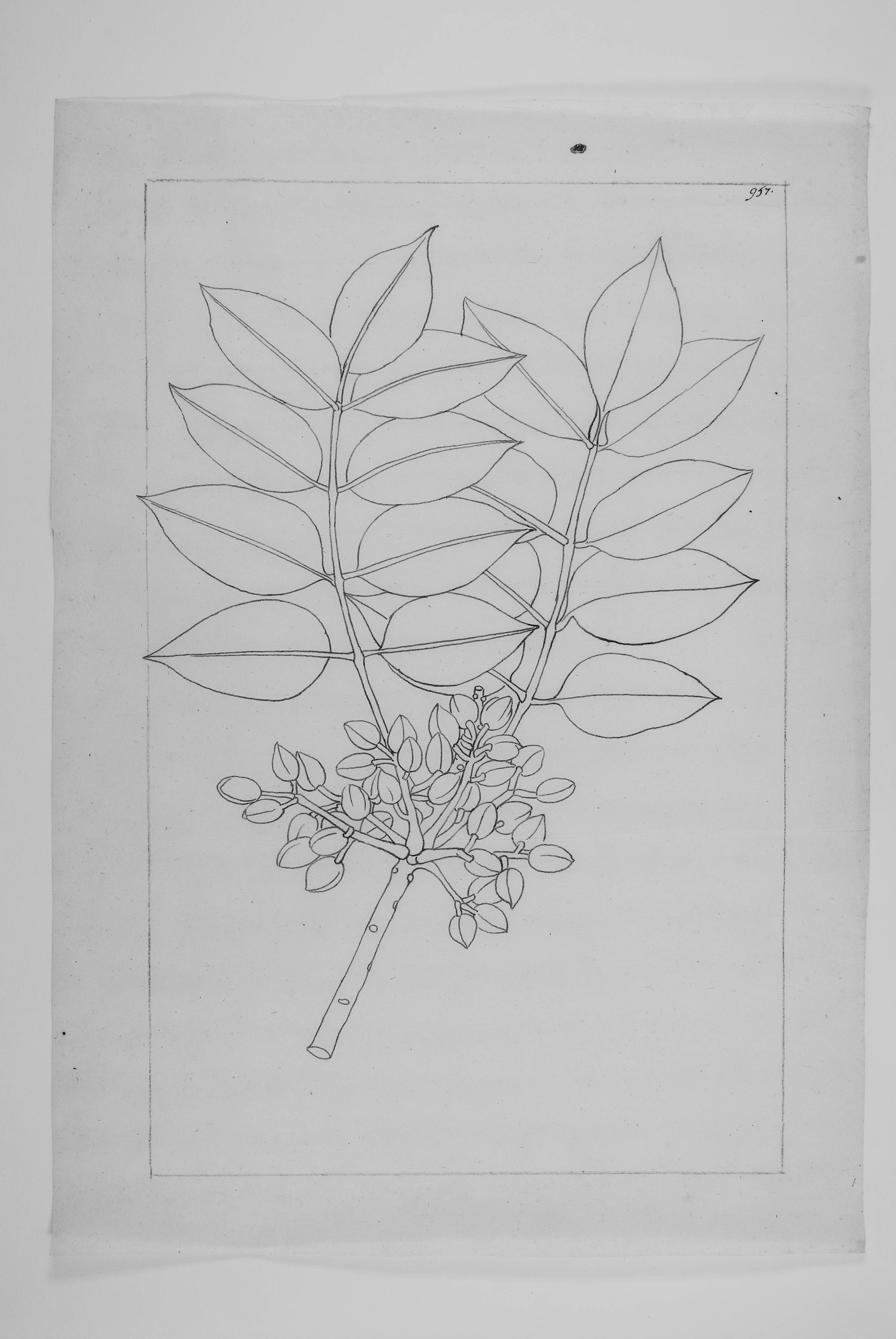 no full size  illustration available (3a)