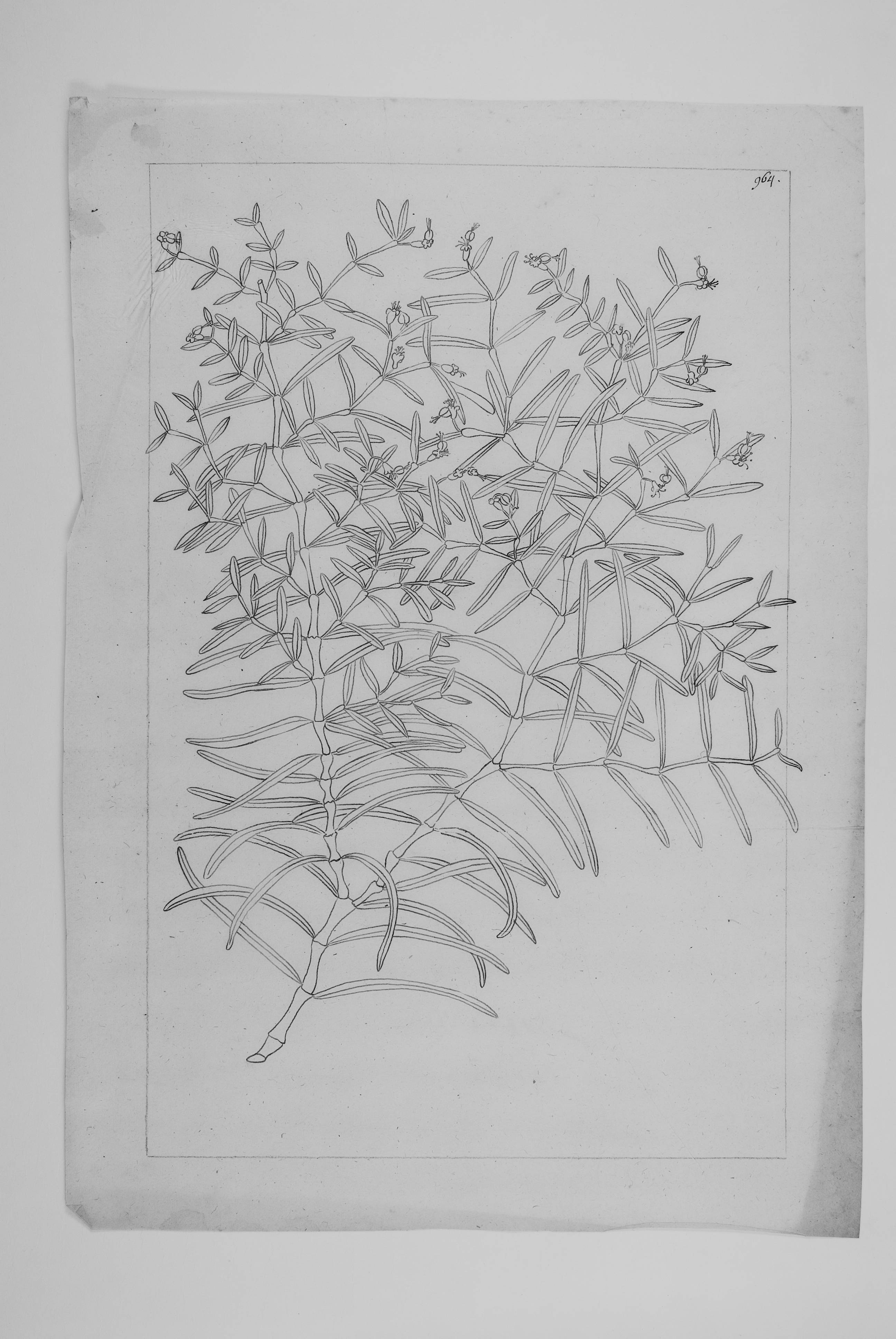 no full size  illustration available (3a)