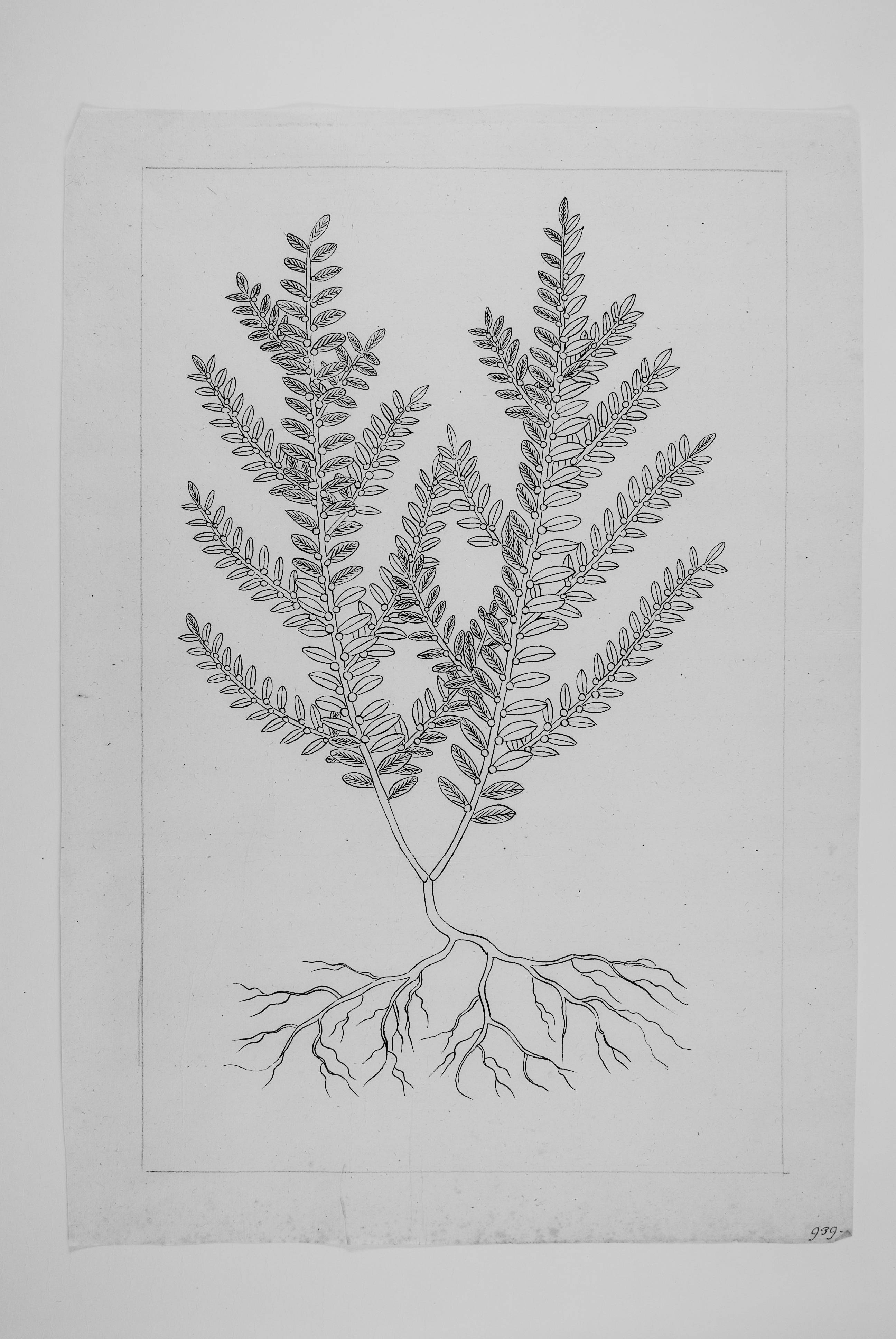 no full size  illustration available (3a)