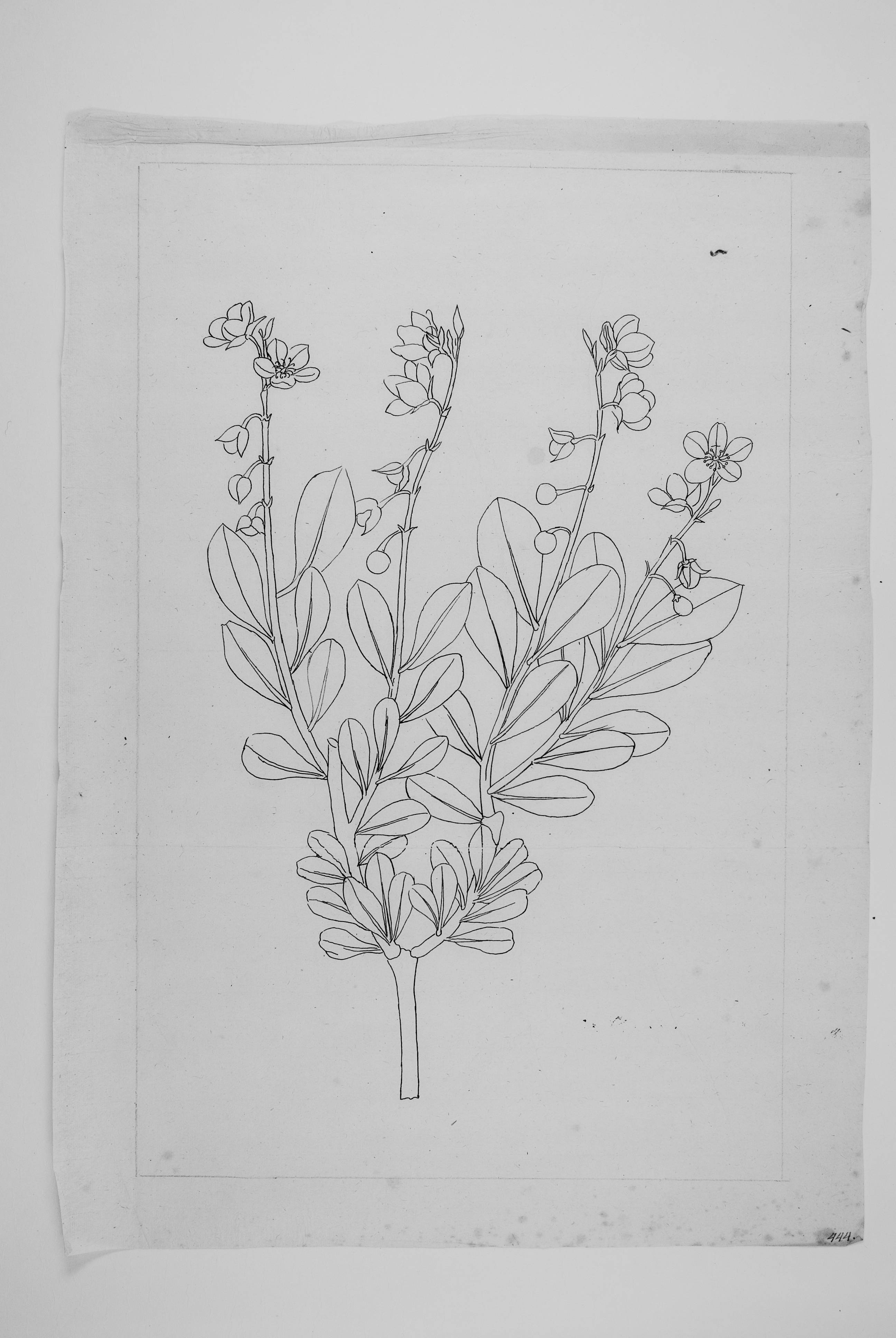 no full size  illustration available (3a)