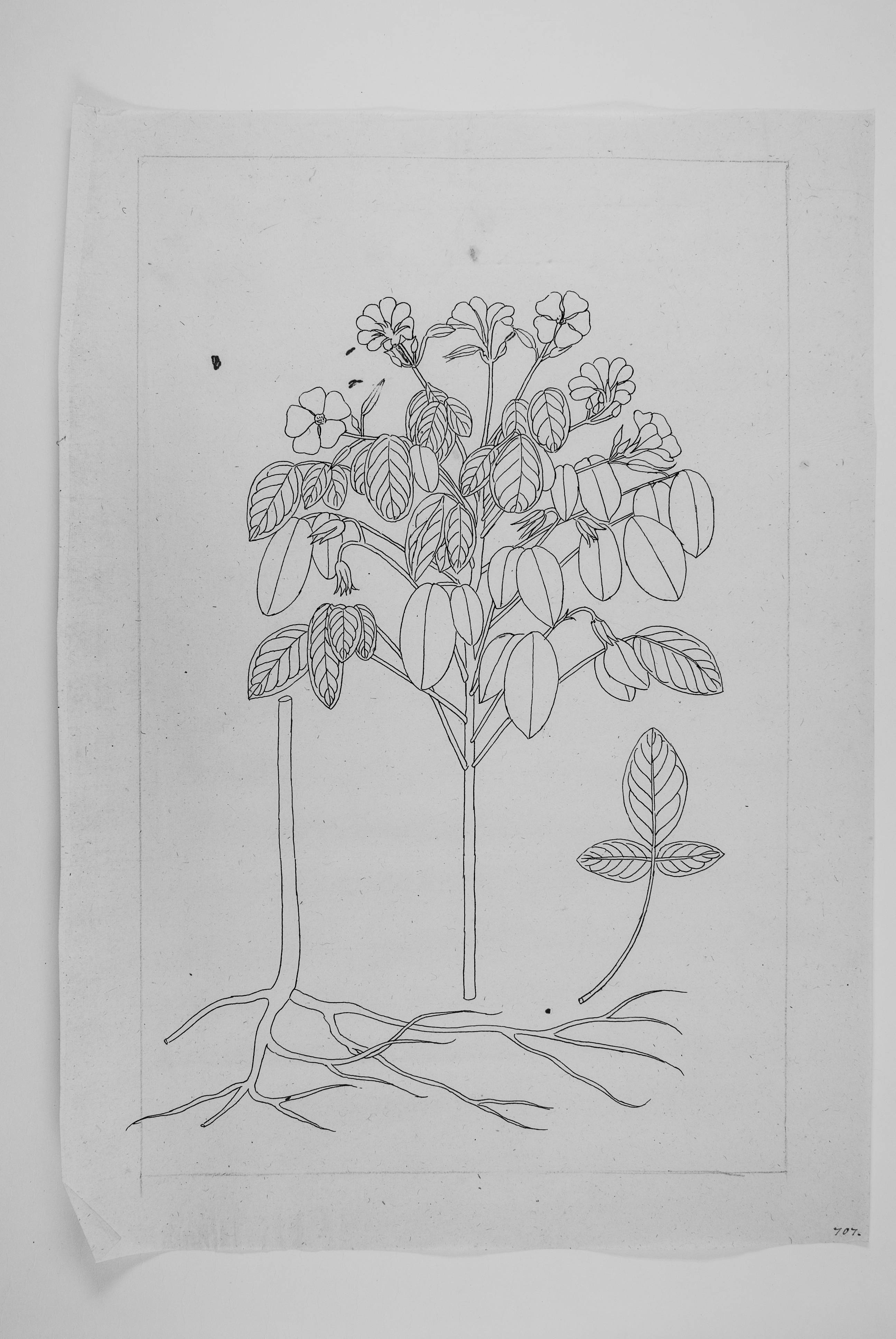 no full size  illustration available (3a)