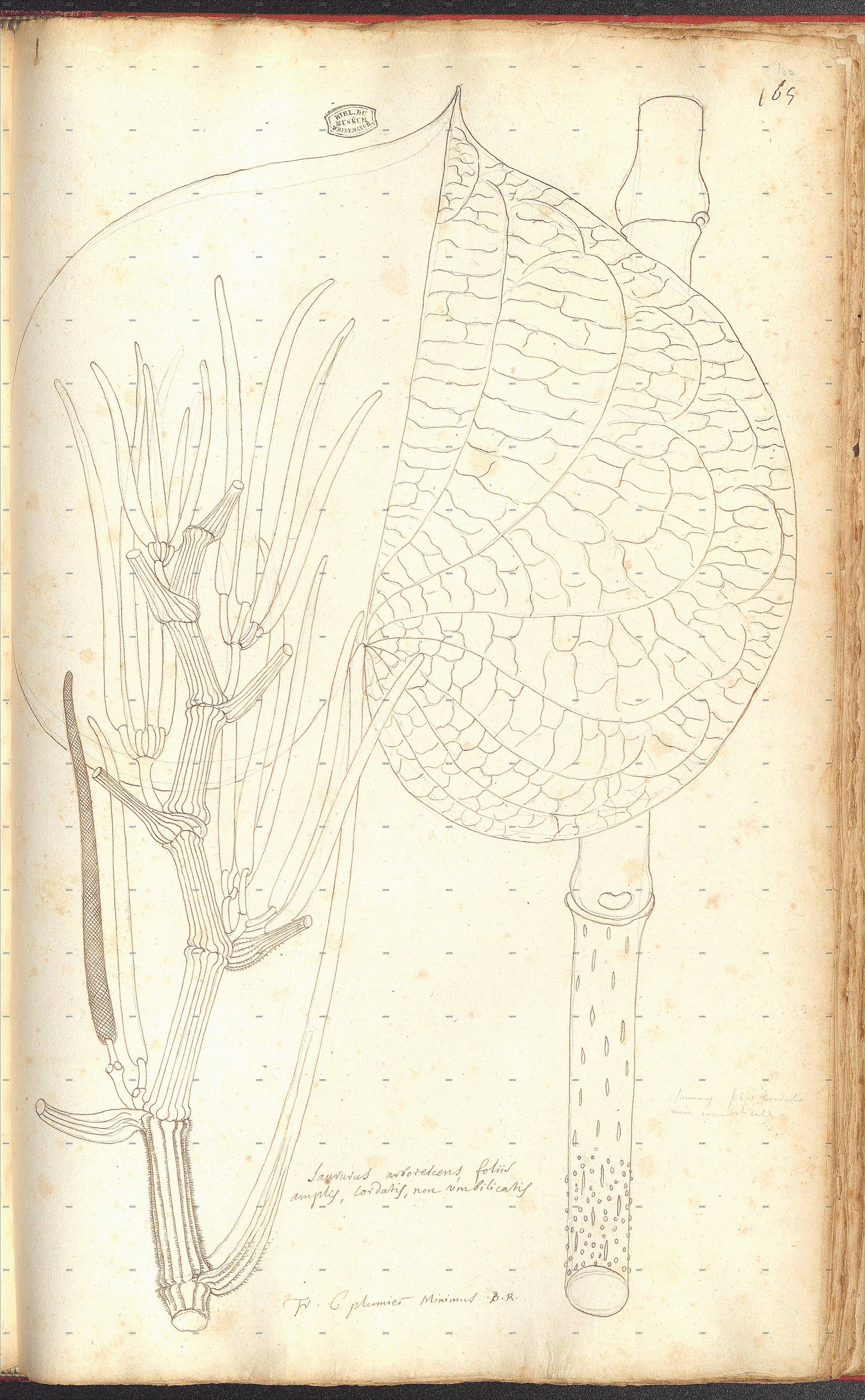 no full size  illustration available (3a)