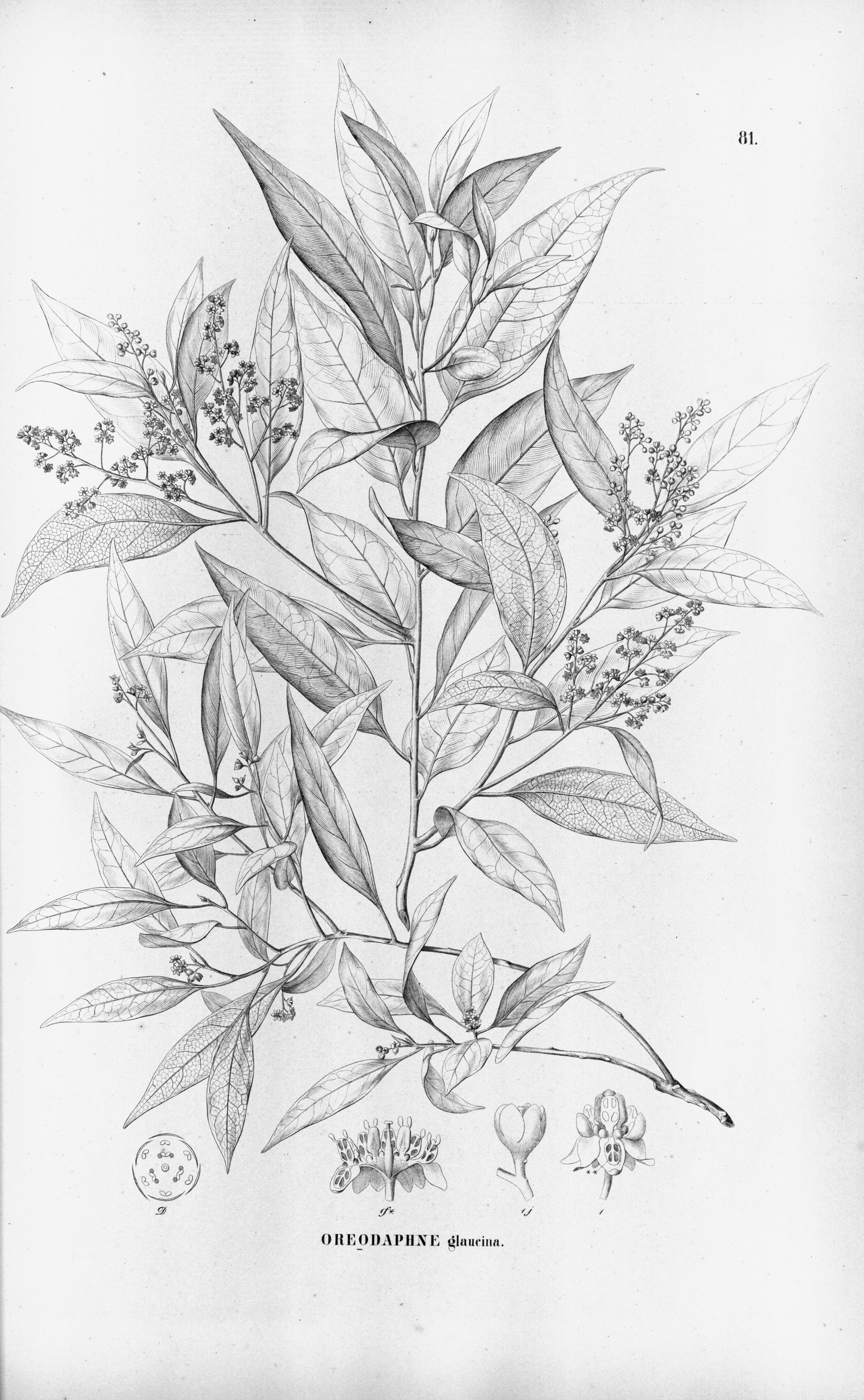 no full size  illustration available (3a)