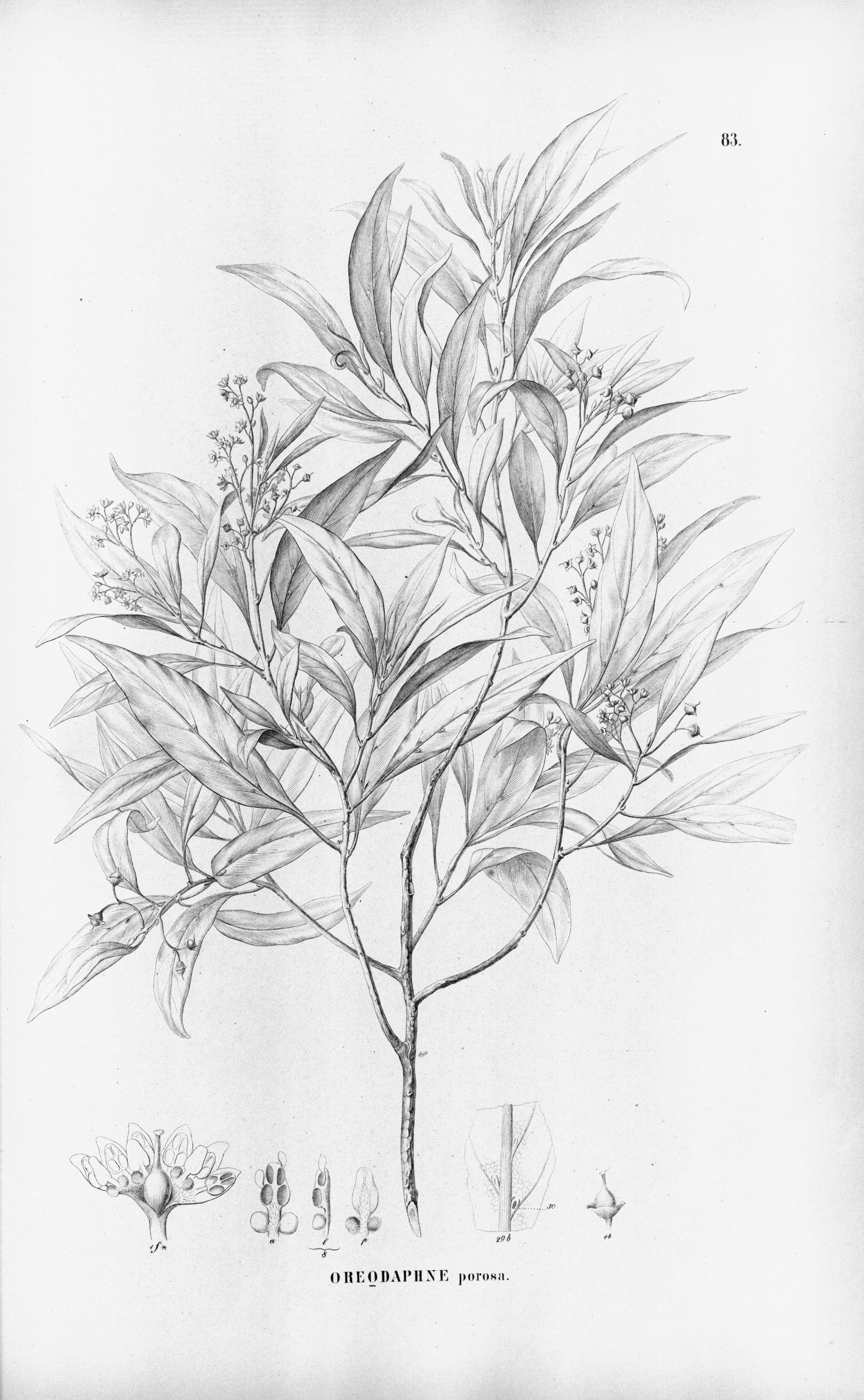 no full size  illustration available (3a)