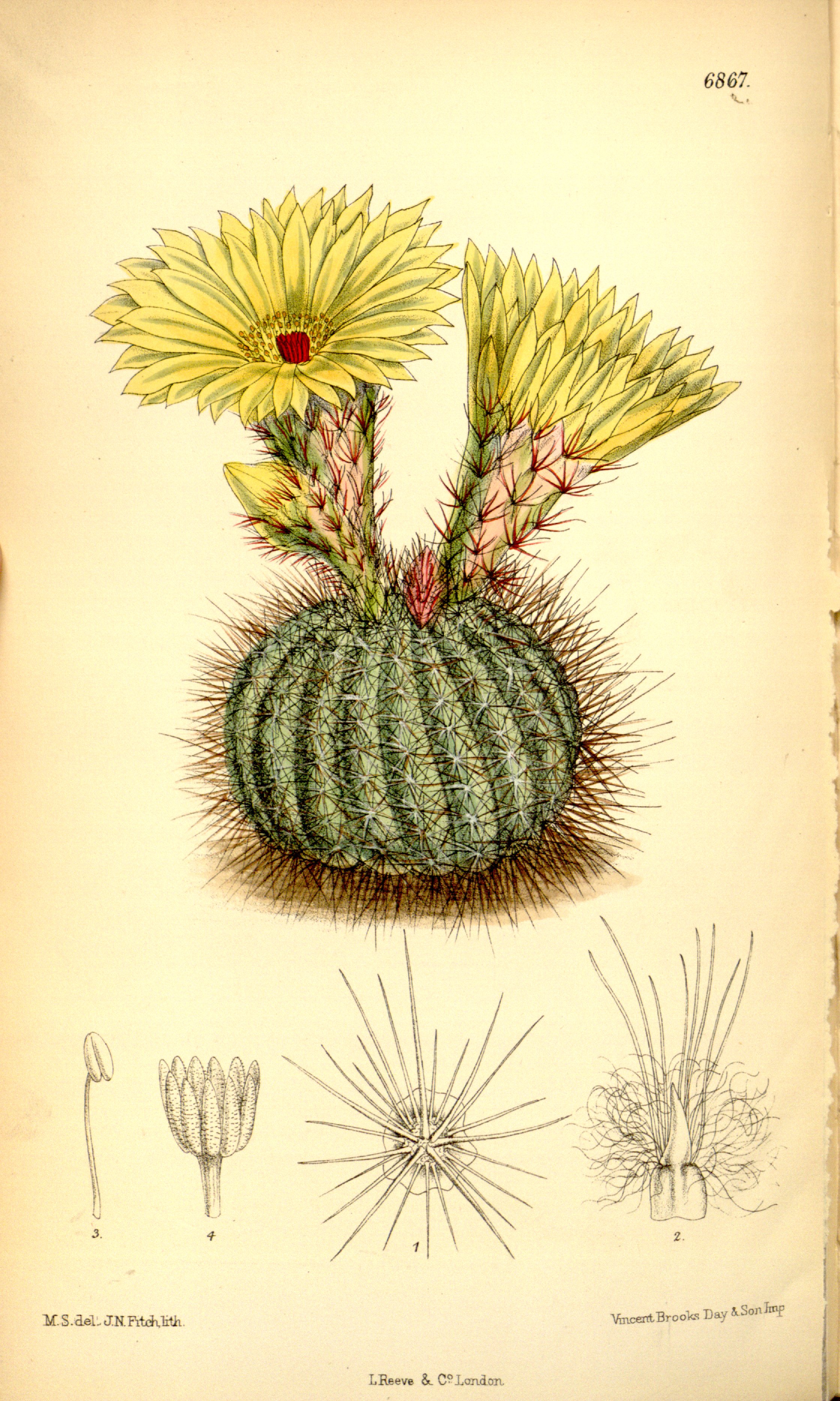 no full size  illustration available (3a)