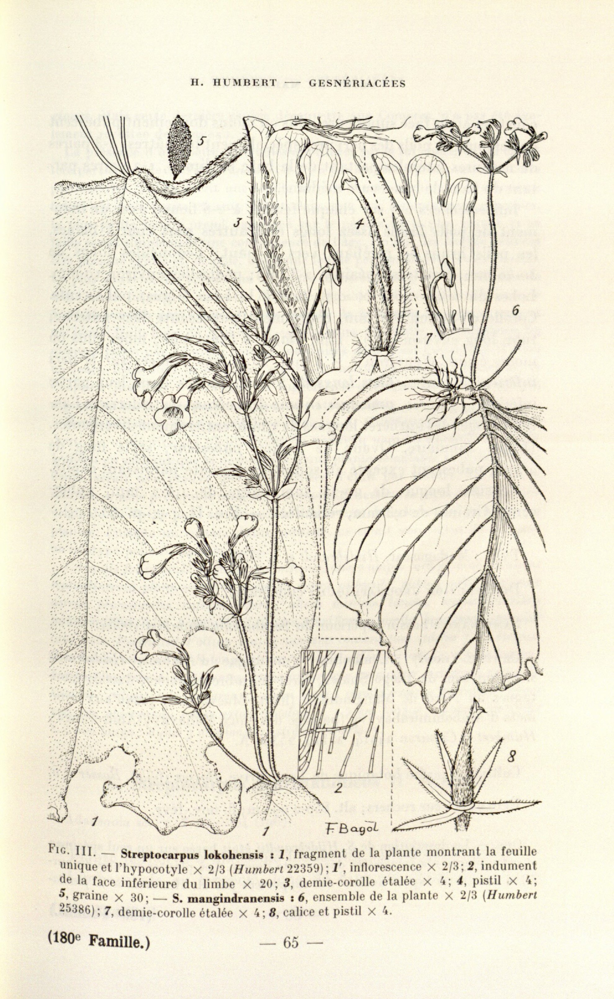 no full size  illustration available (3a)