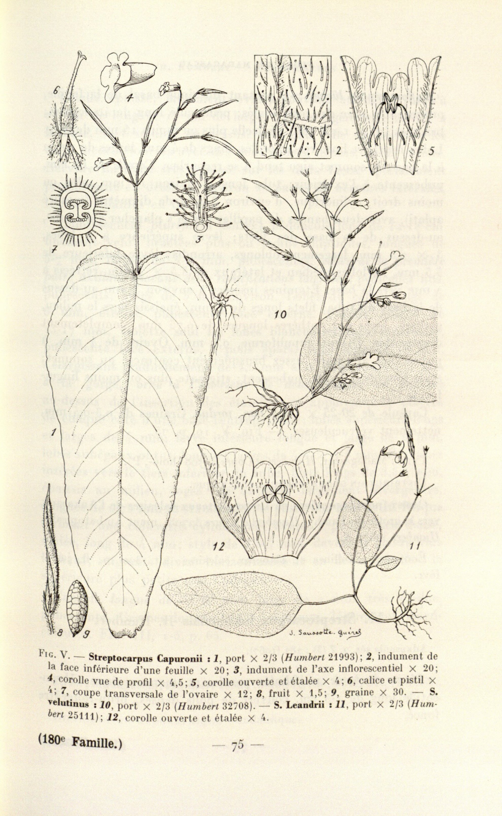 no full size  illustration available (3a)