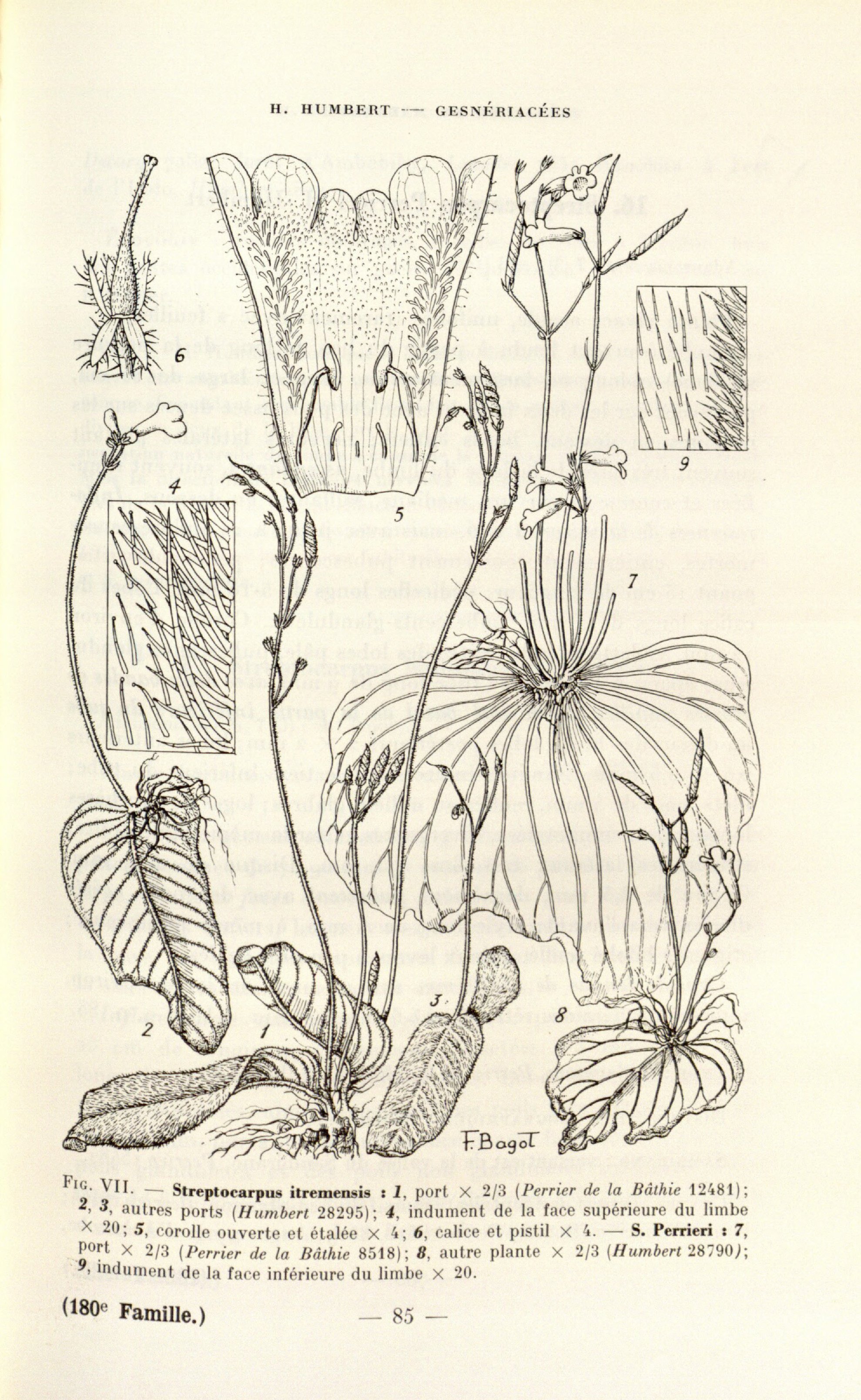 no full size  illustration available (3a)