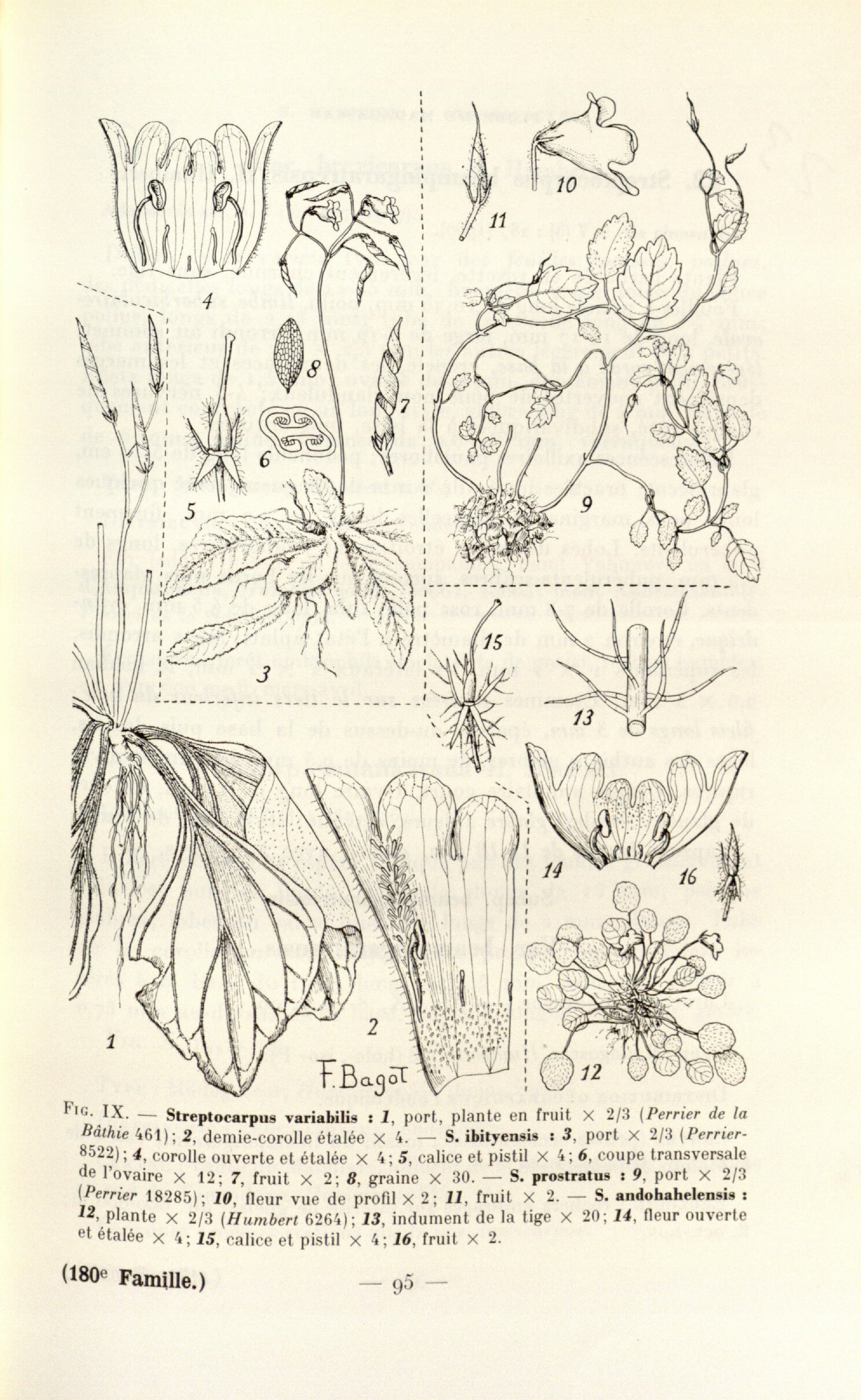 no full size  illustration available (3a)