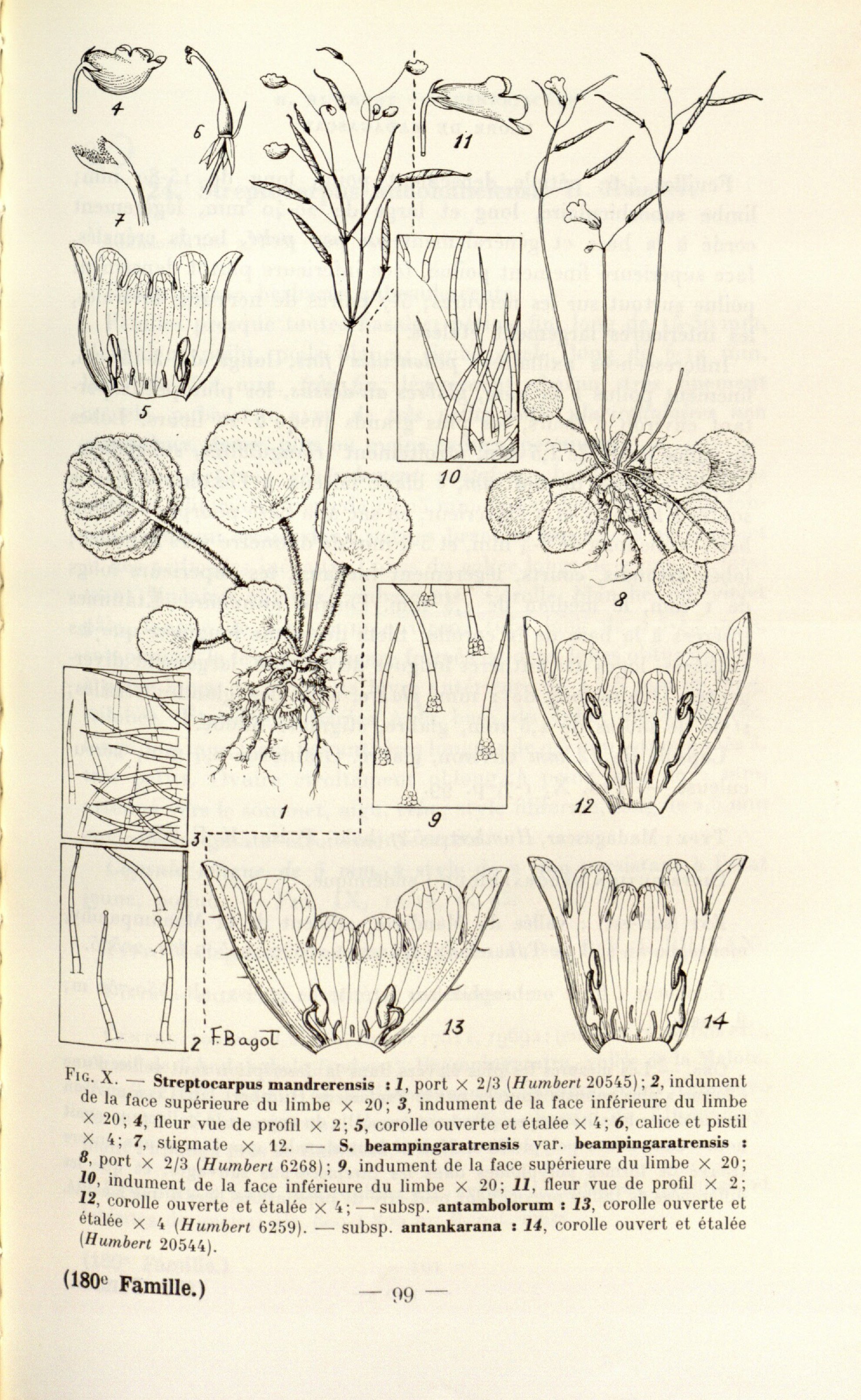 no full size  illustration available (3a)