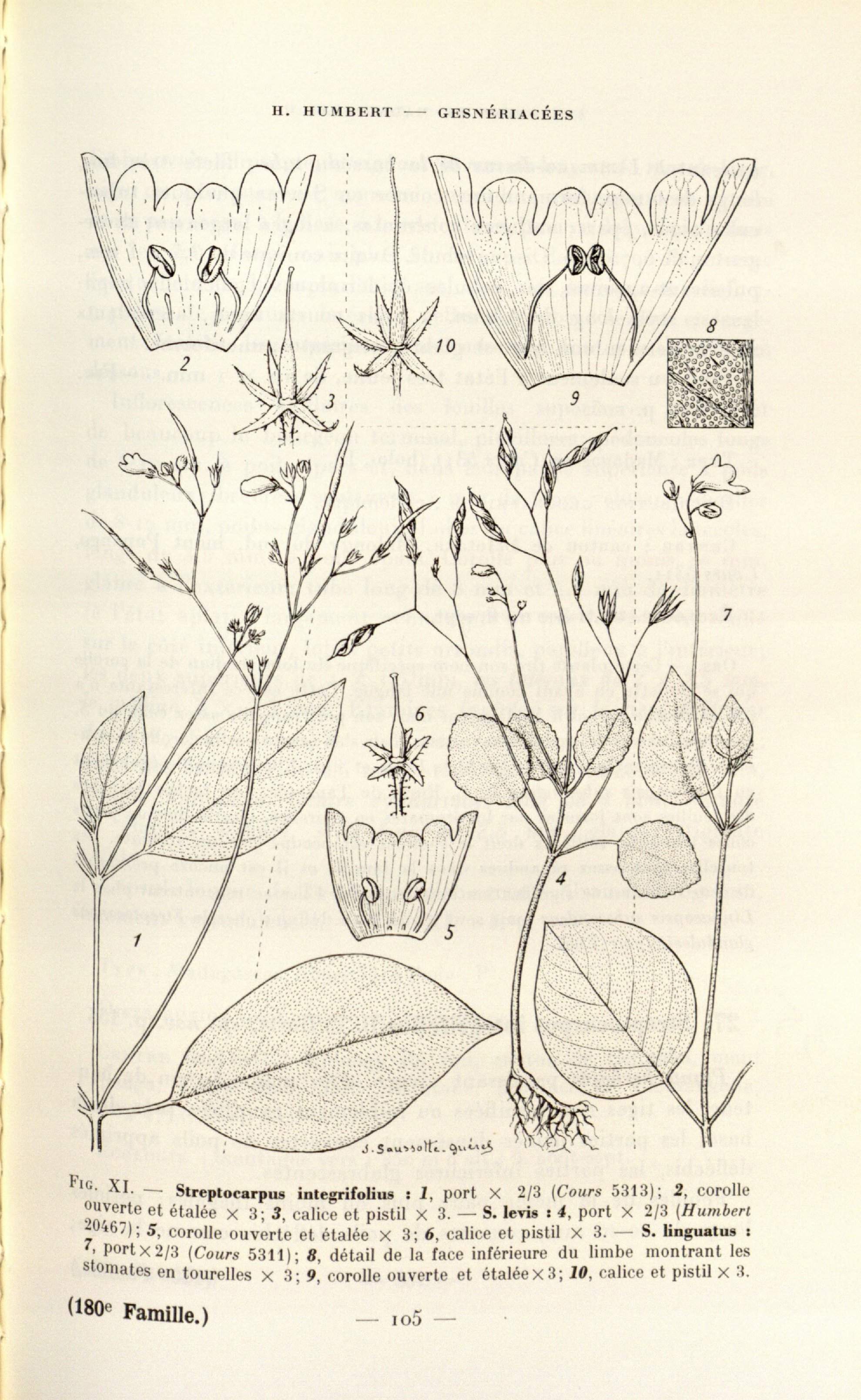 no full size  illustration available (3a)