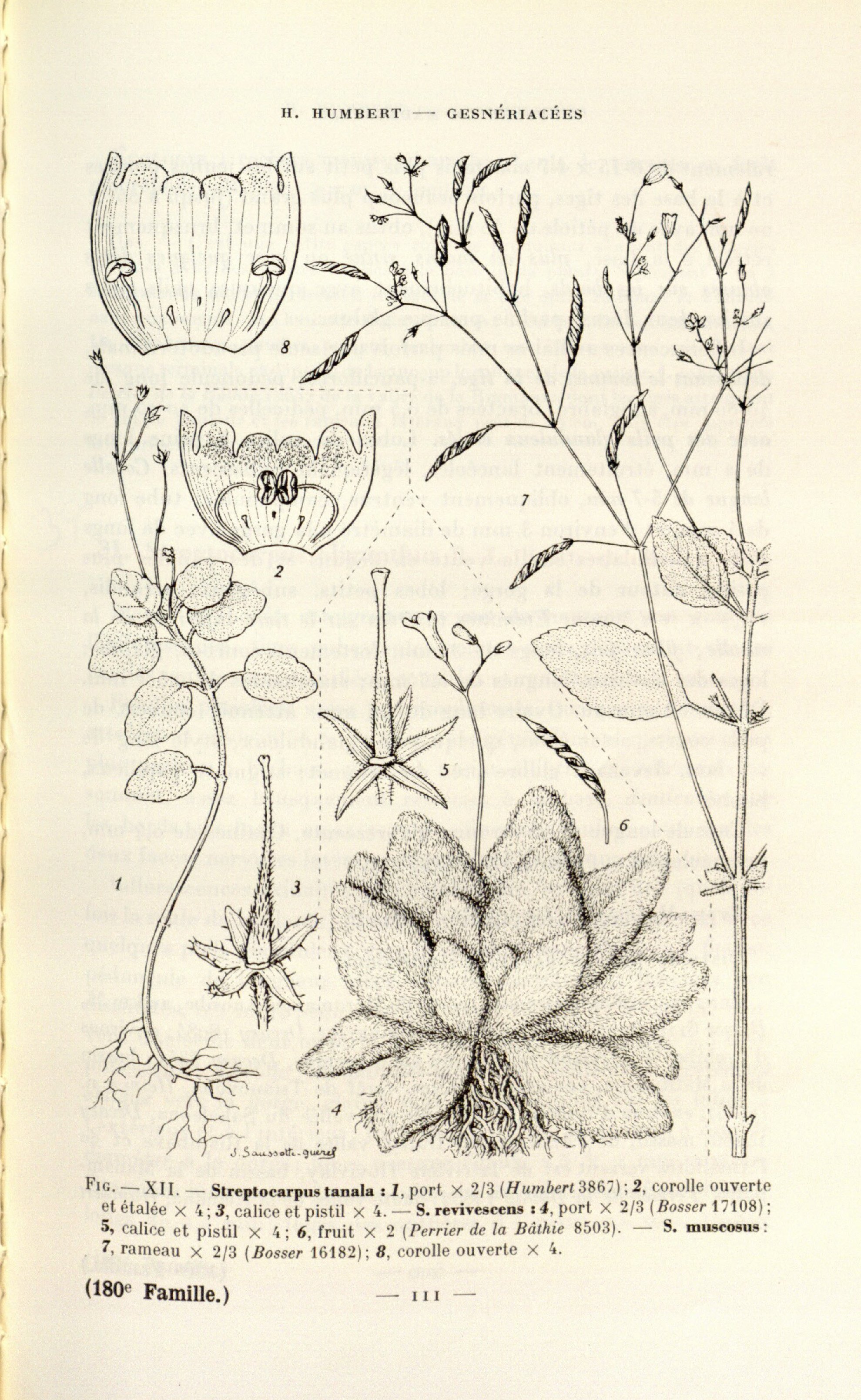 no full size  illustration available (3a)