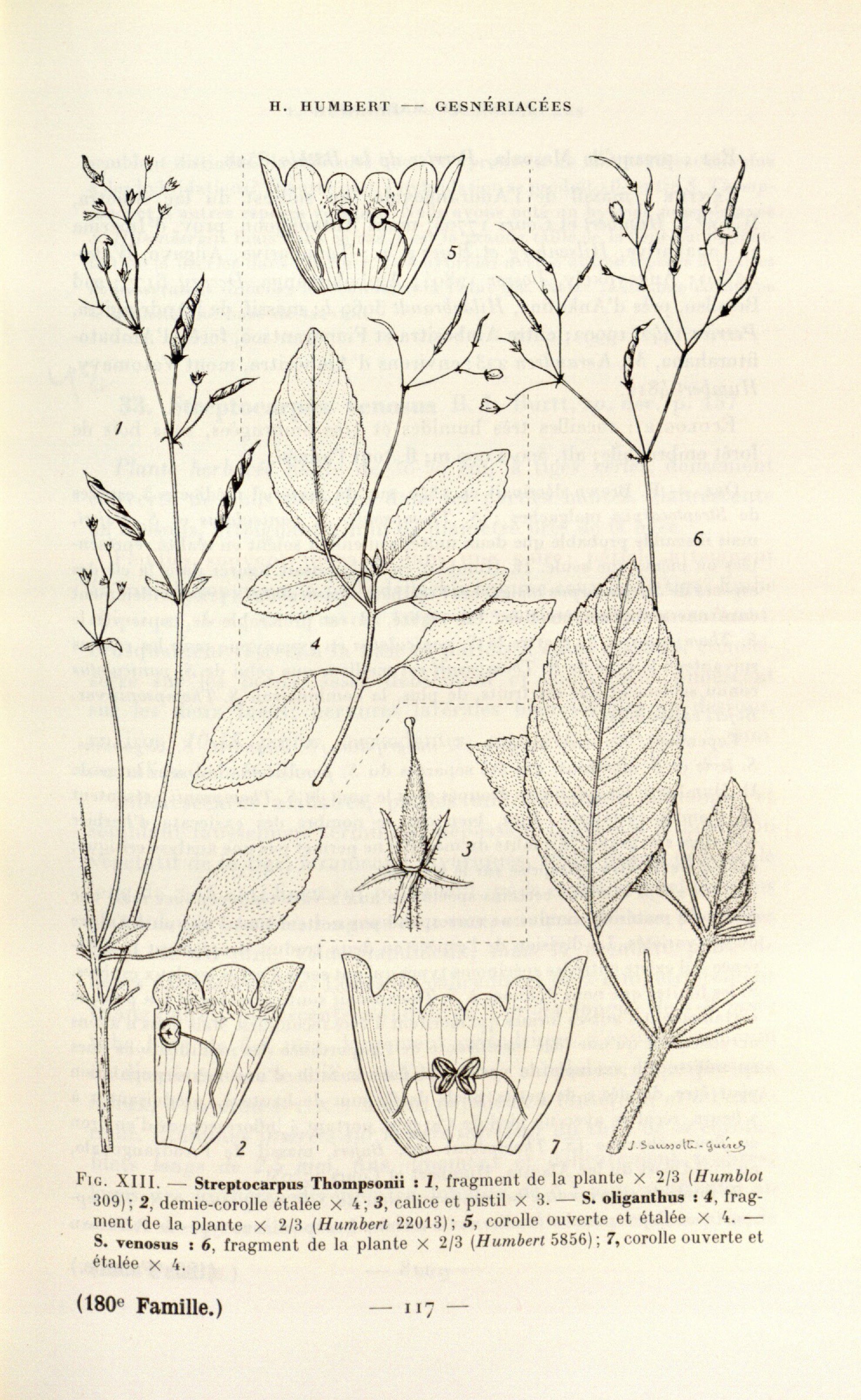 no full size  illustration available (3a)