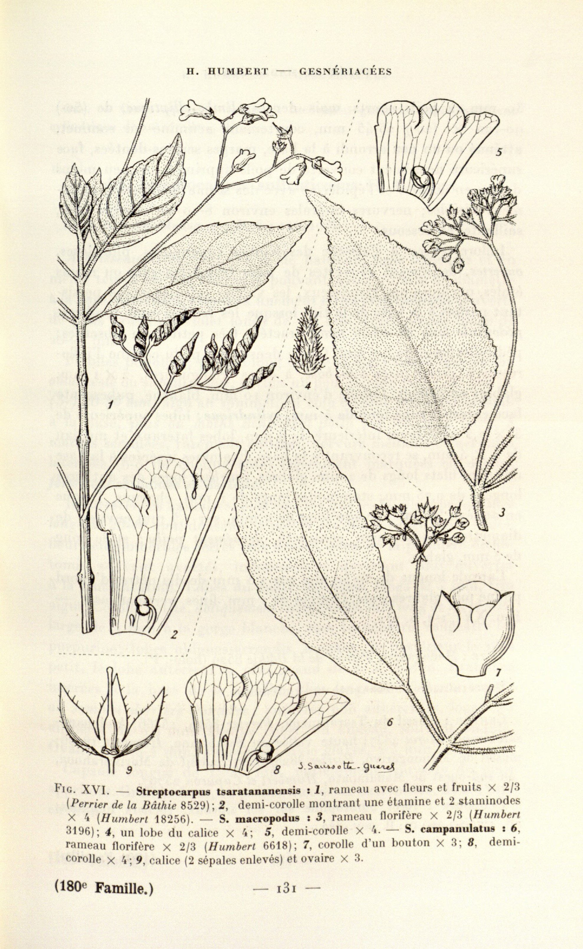 no full size  illustration available (3a)