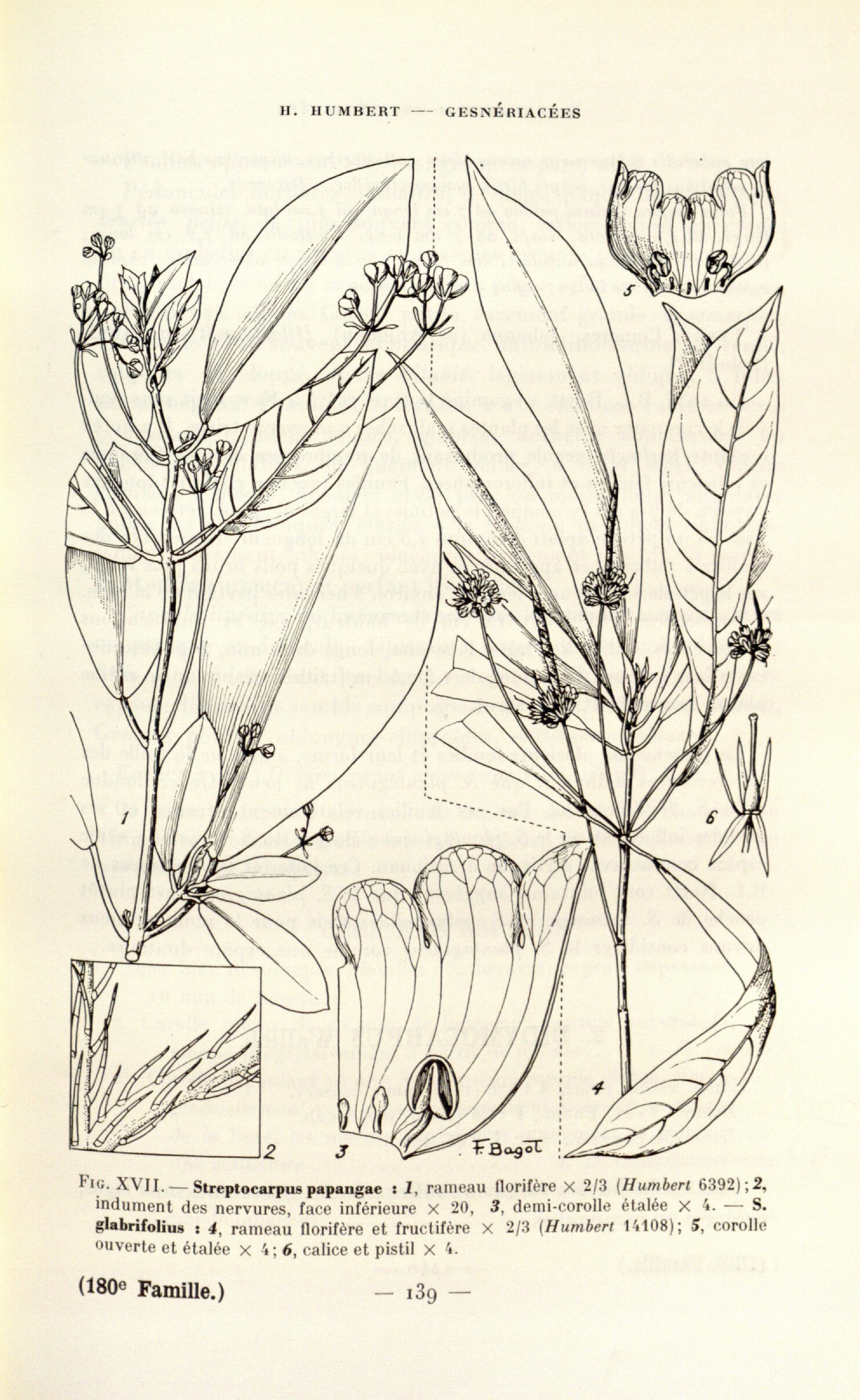 no full size  illustration available (3a)