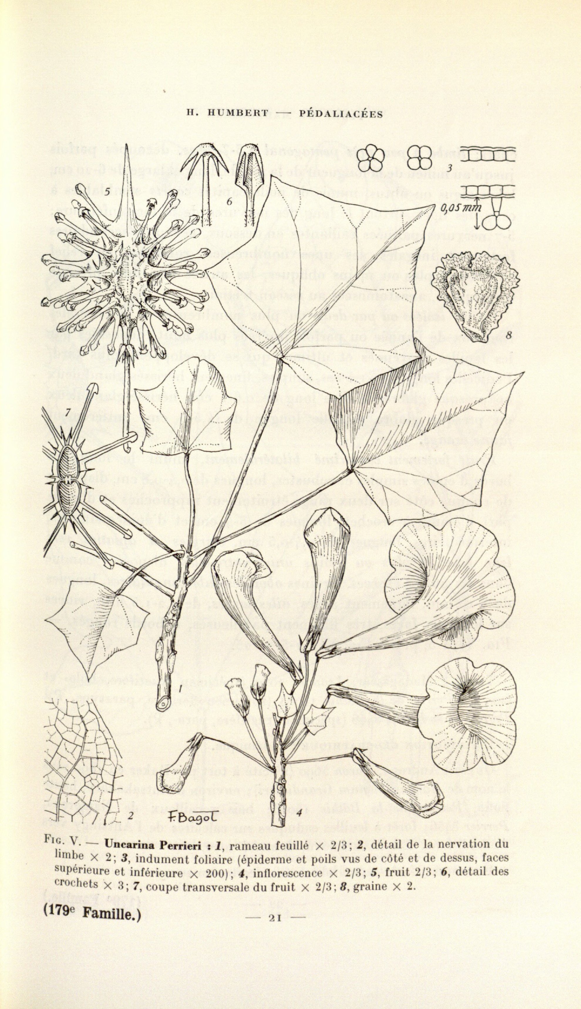 no full size  illustration available (3a)