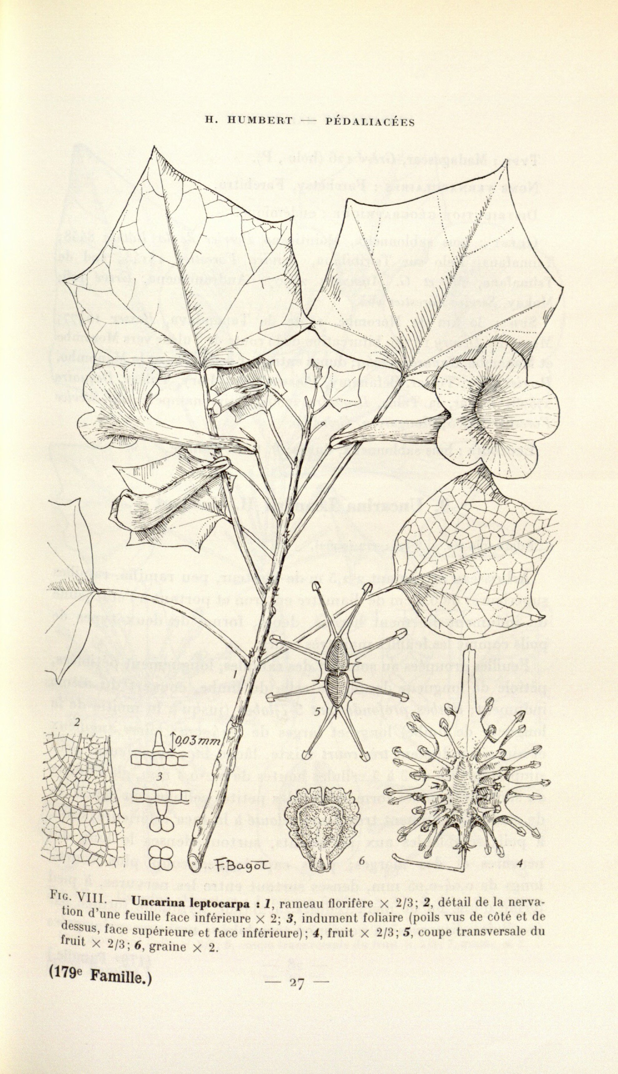 no full size  illustration available (3a)