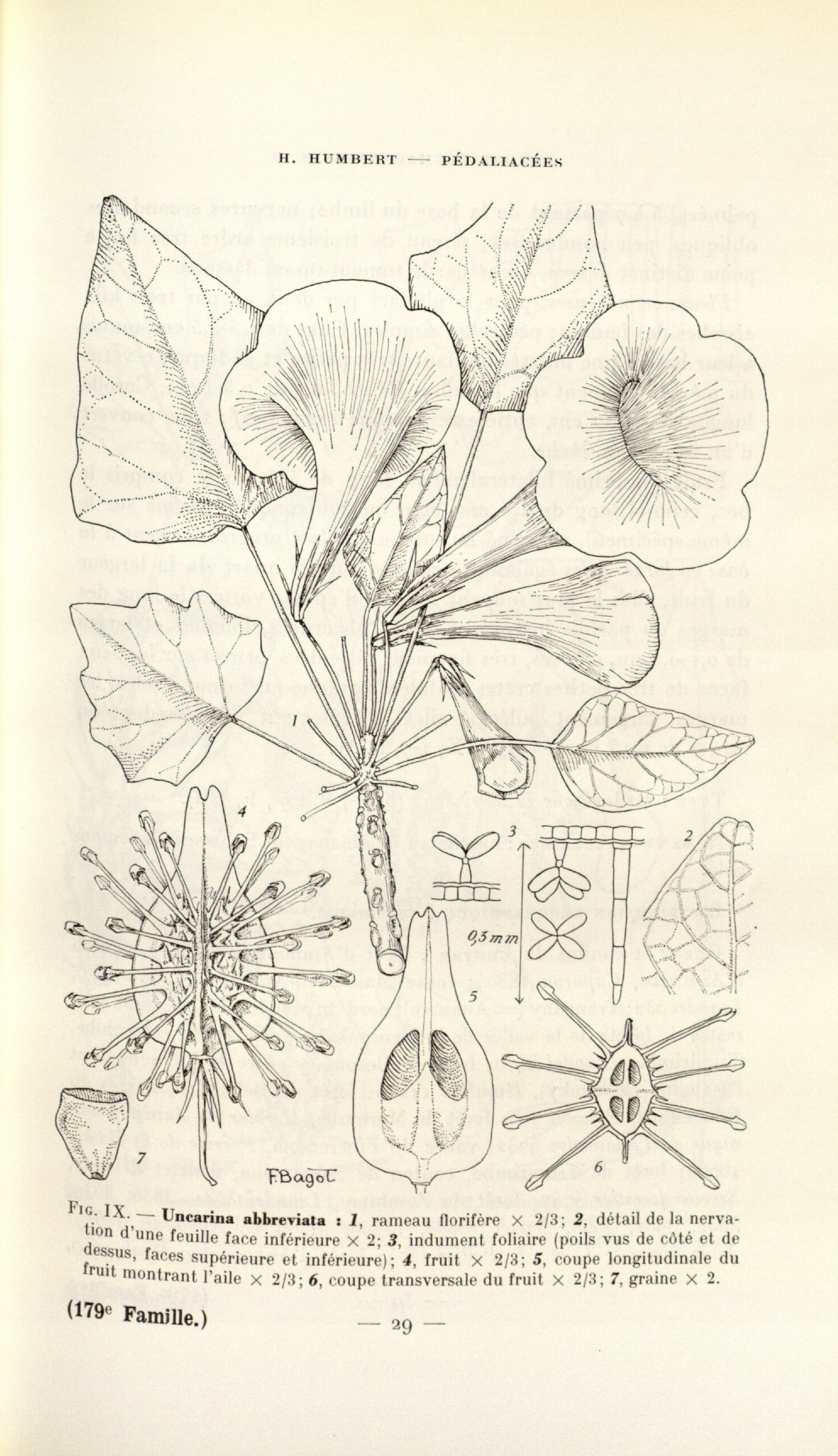 no full size  illustration available (3a)