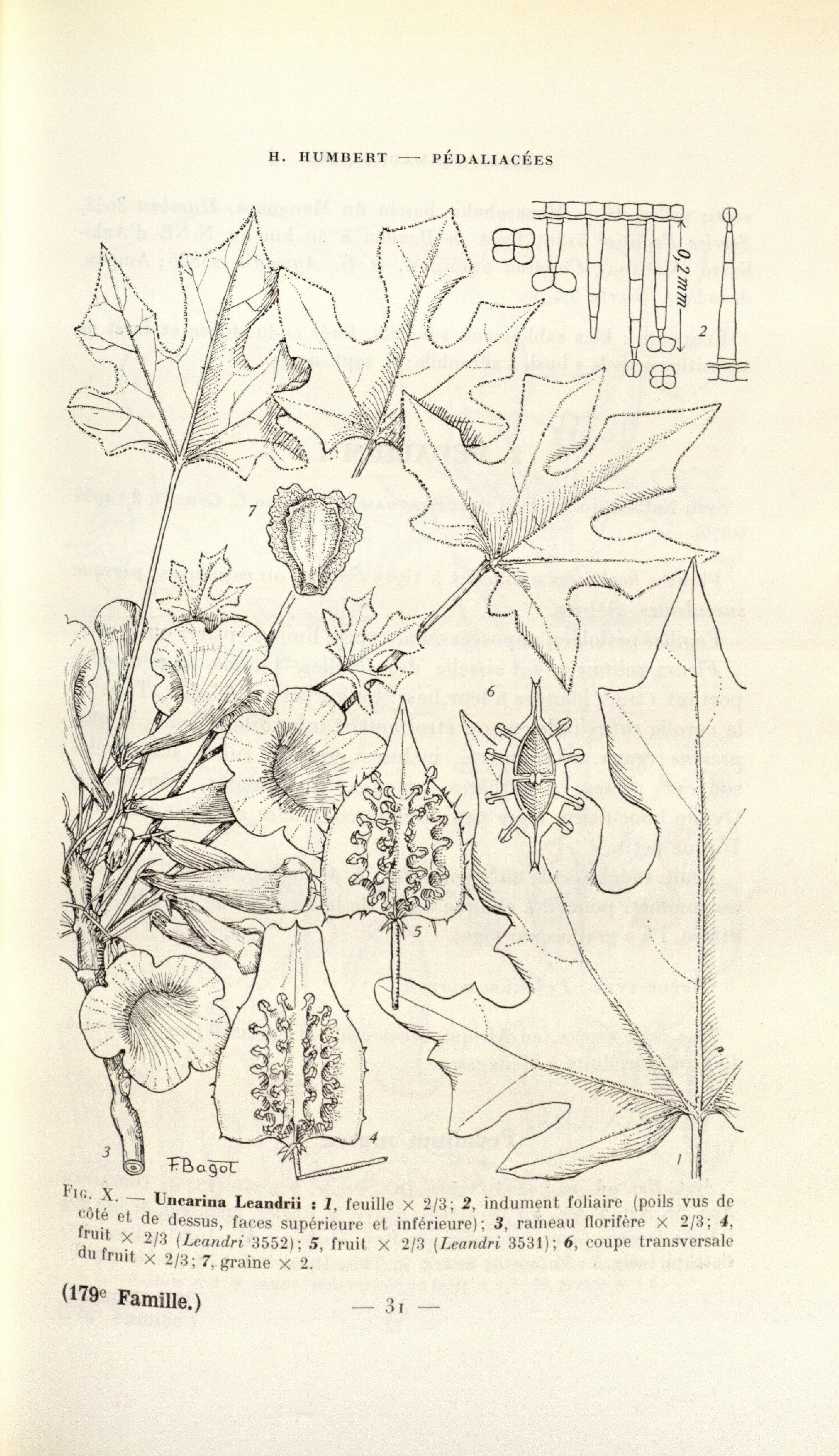 no full size  illustration available (3a)