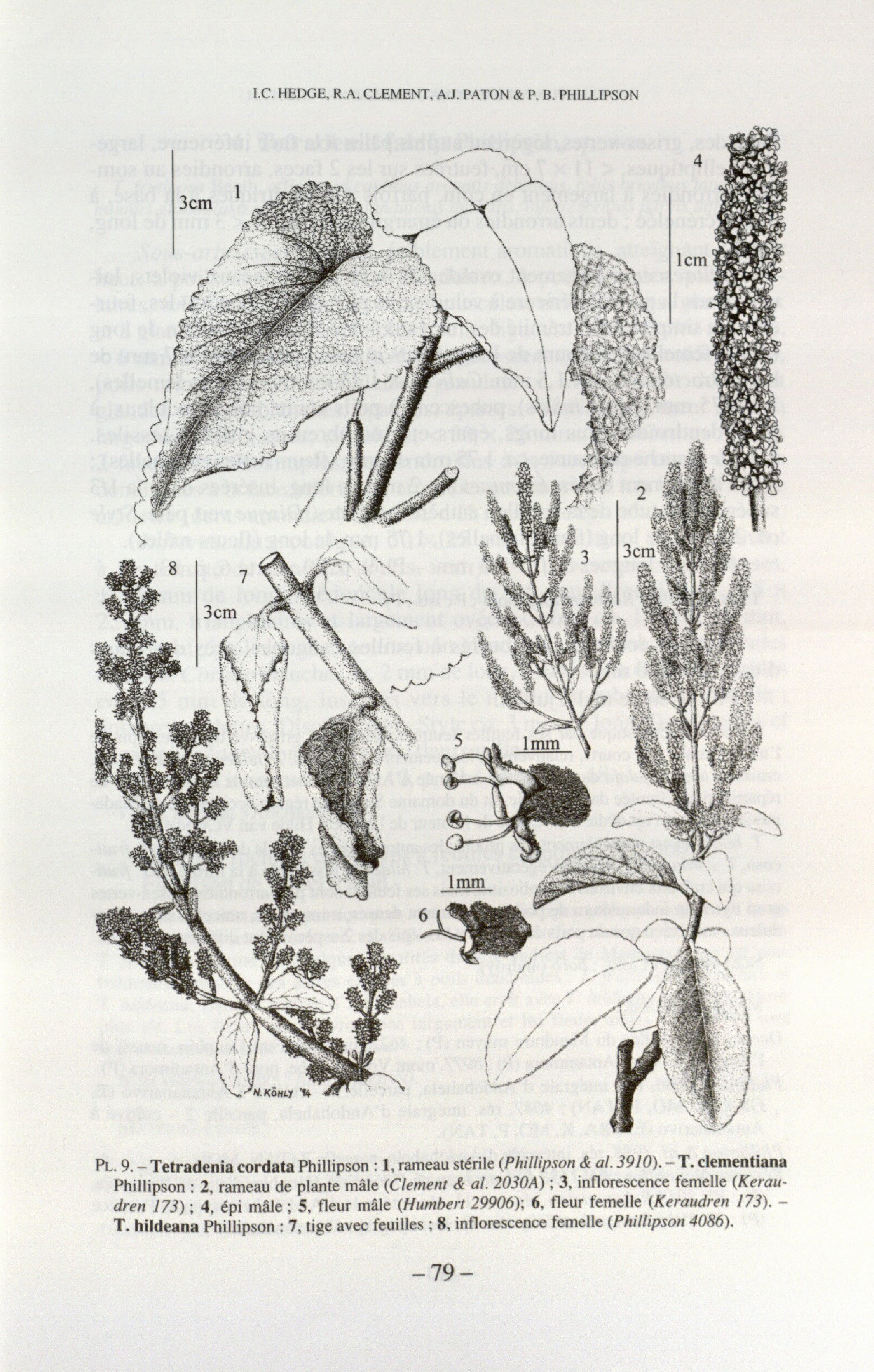 no full size  illustration available (3a)