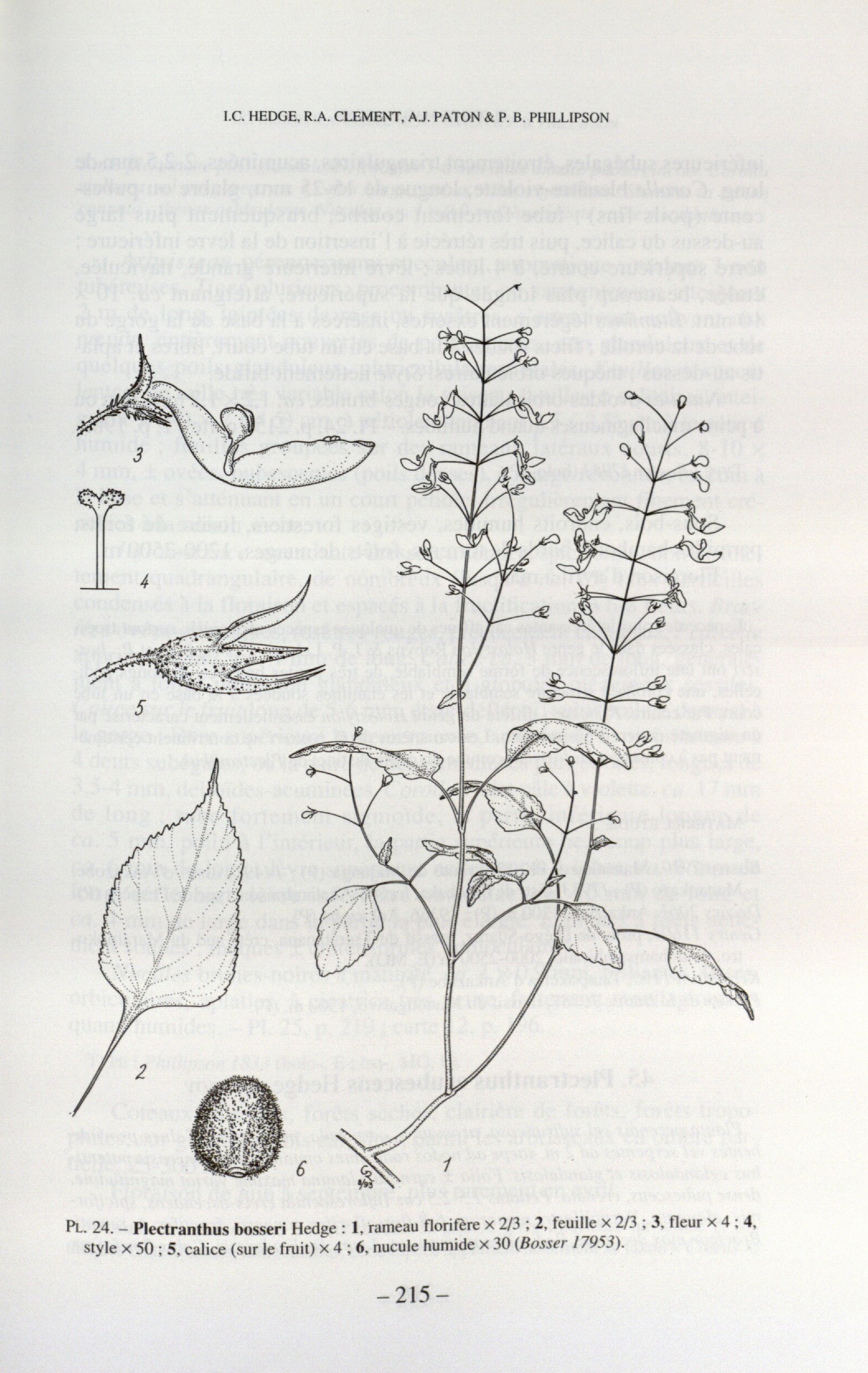 no full size  illustration available (3a)