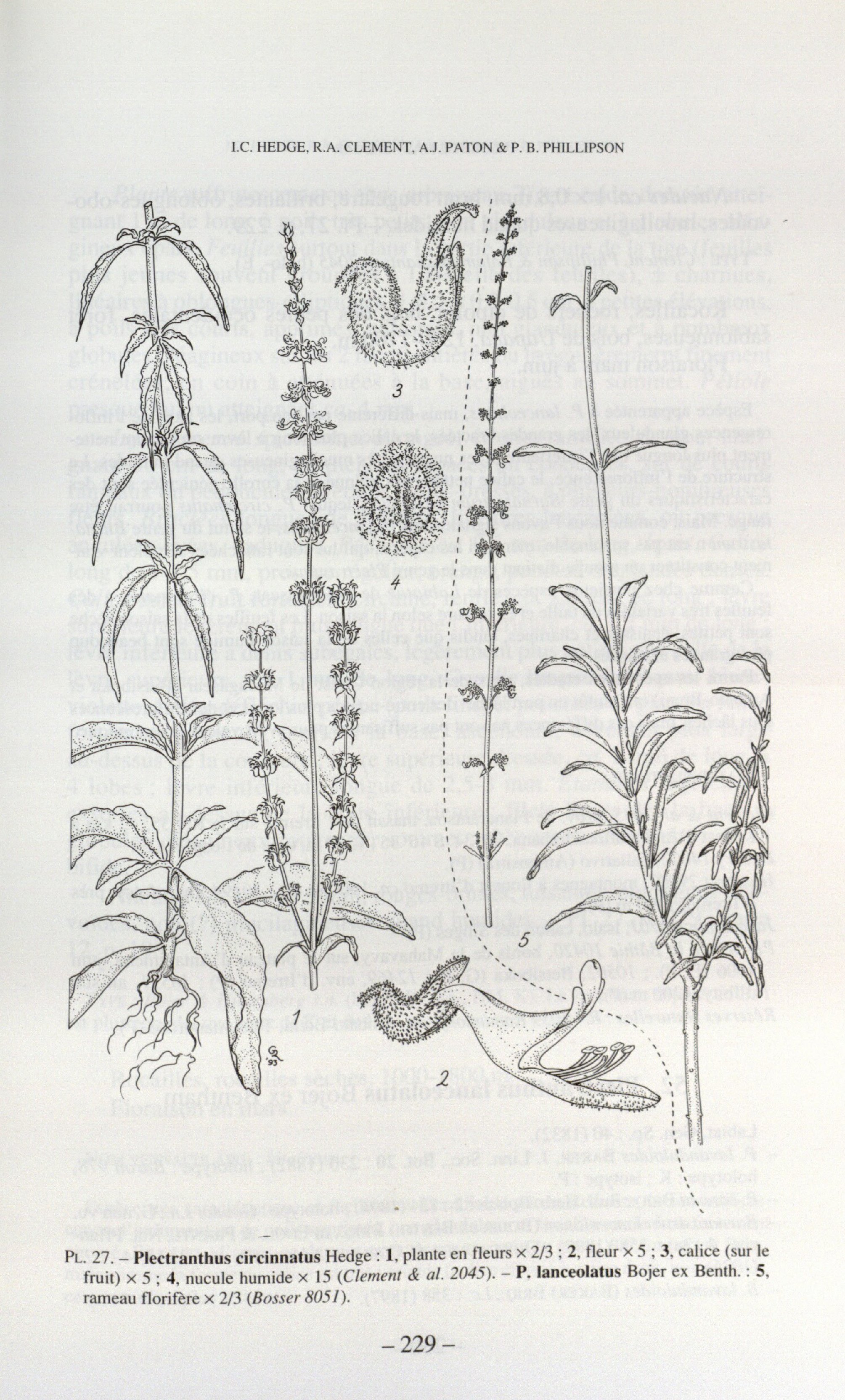 no full size  illustration available (3a)