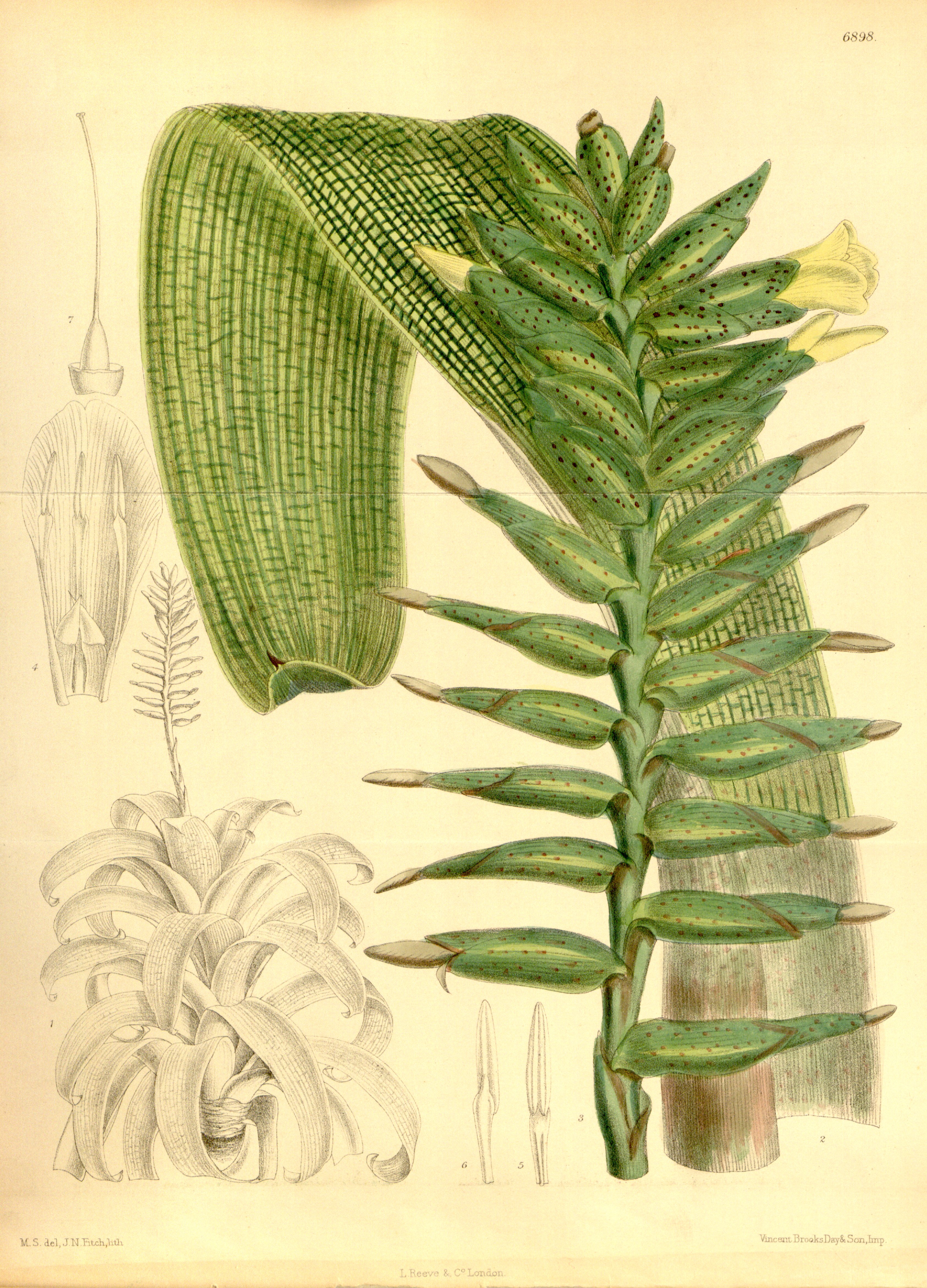 no full size  illustration available (3a)